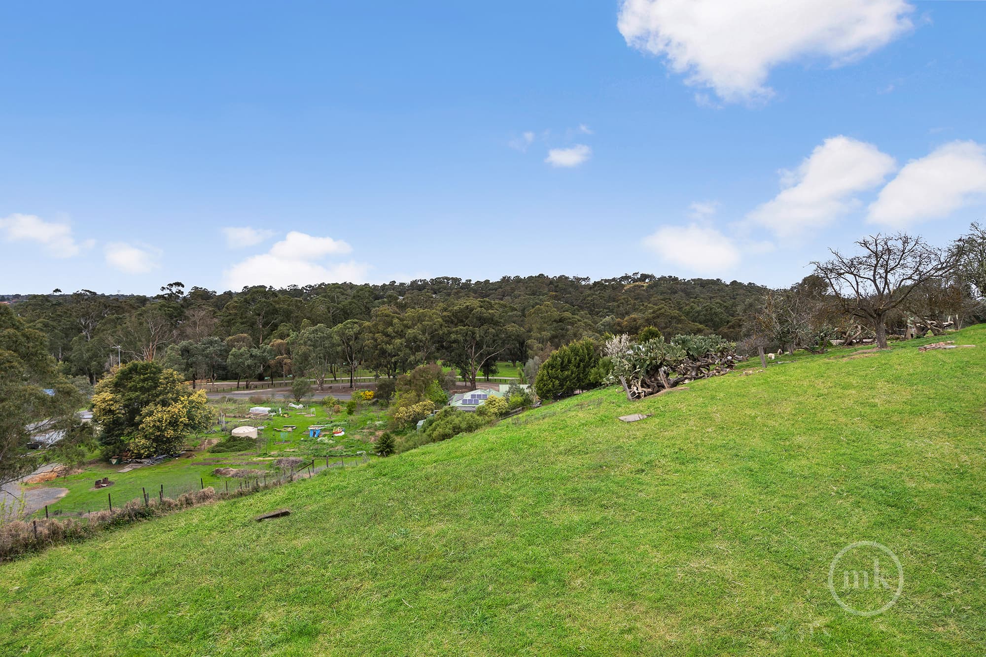 Diamond Creek, Diamond Creek - Image 1