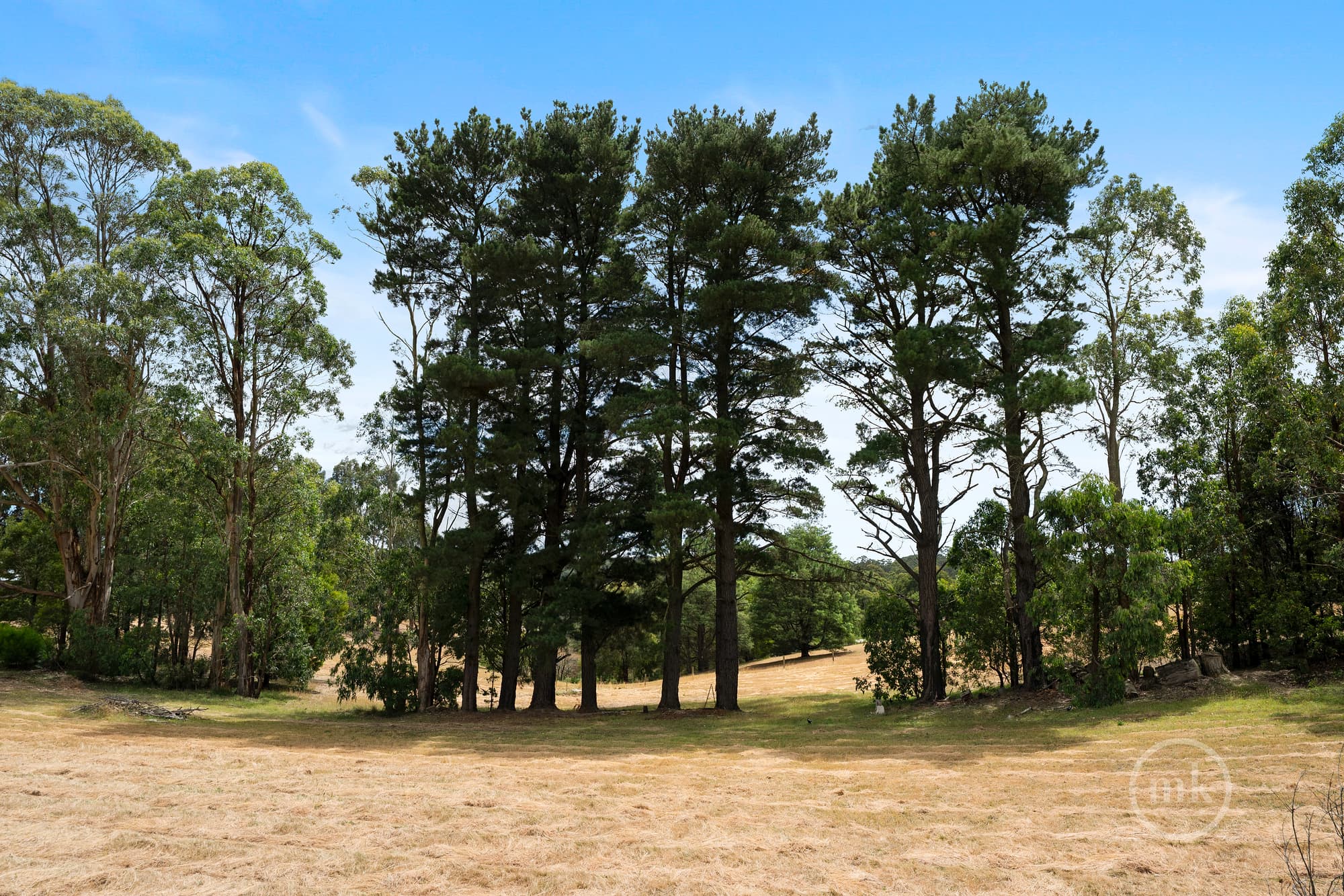 Kinglake, Kinglake - Thumbnail 5