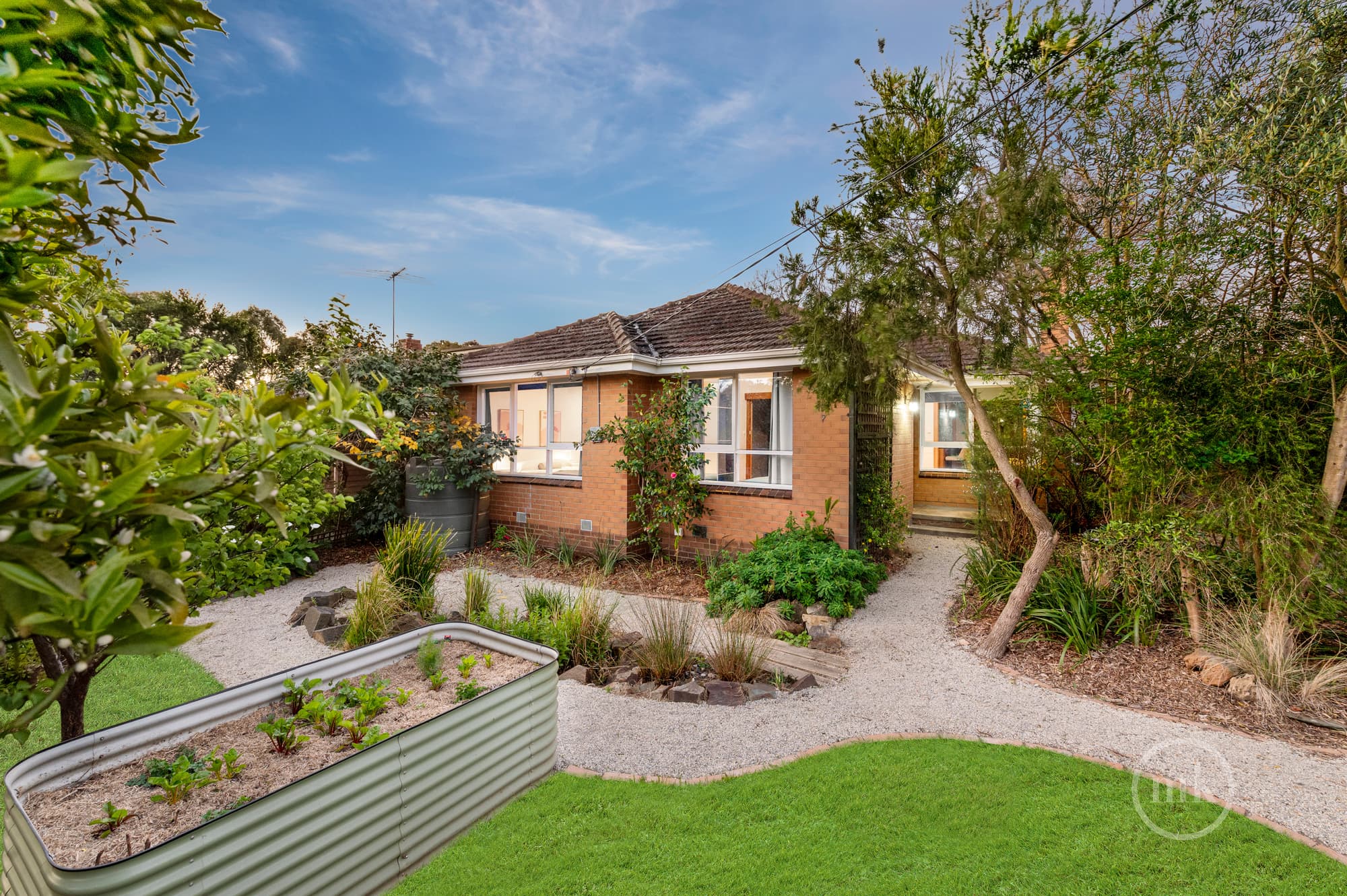 Watsonia, Watsonia - Thumbnail 2