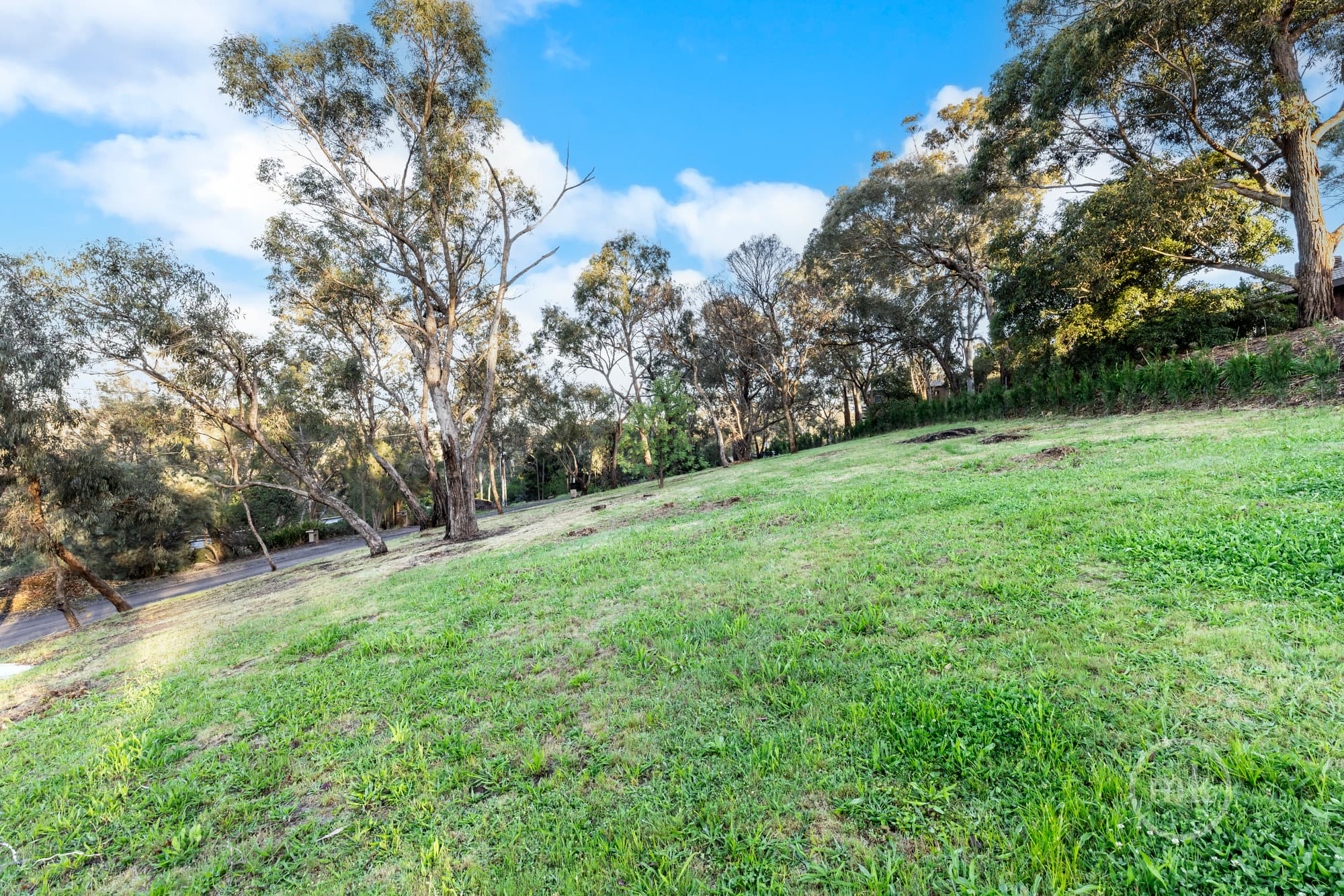 Eltham, Eltham - Thumbnail 5
