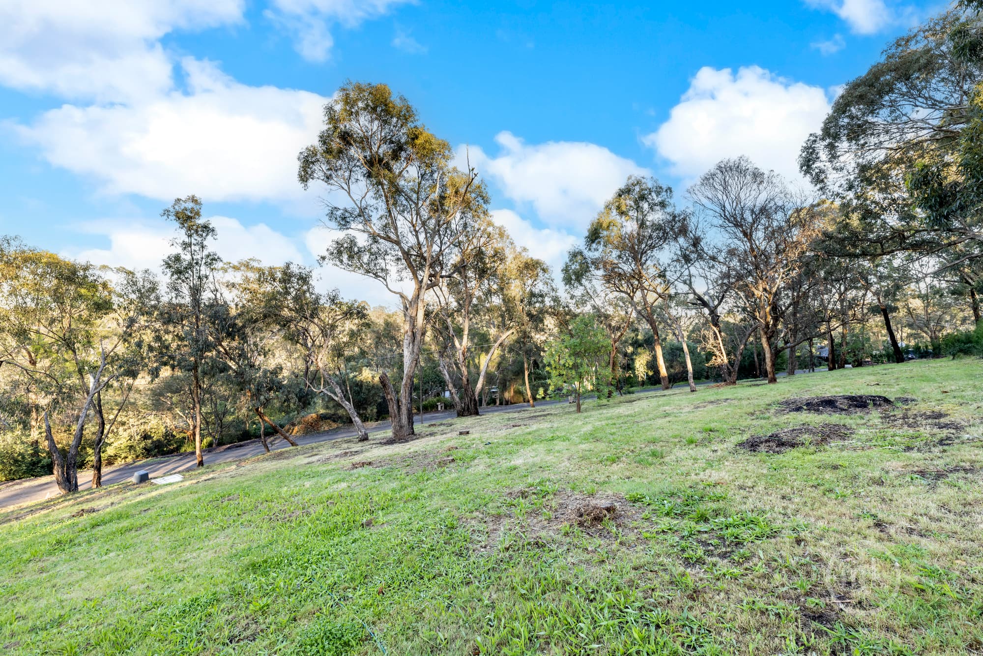 Eltham, Eltham - Thumbnail 6