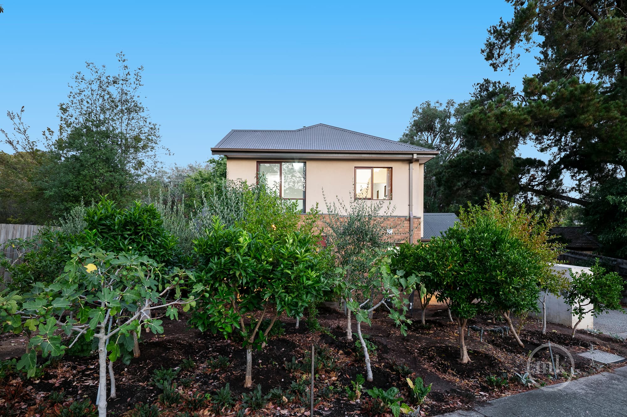 1/226 Mountain View Road, Briar Hill, Briar Hill - Thumbnail 4
