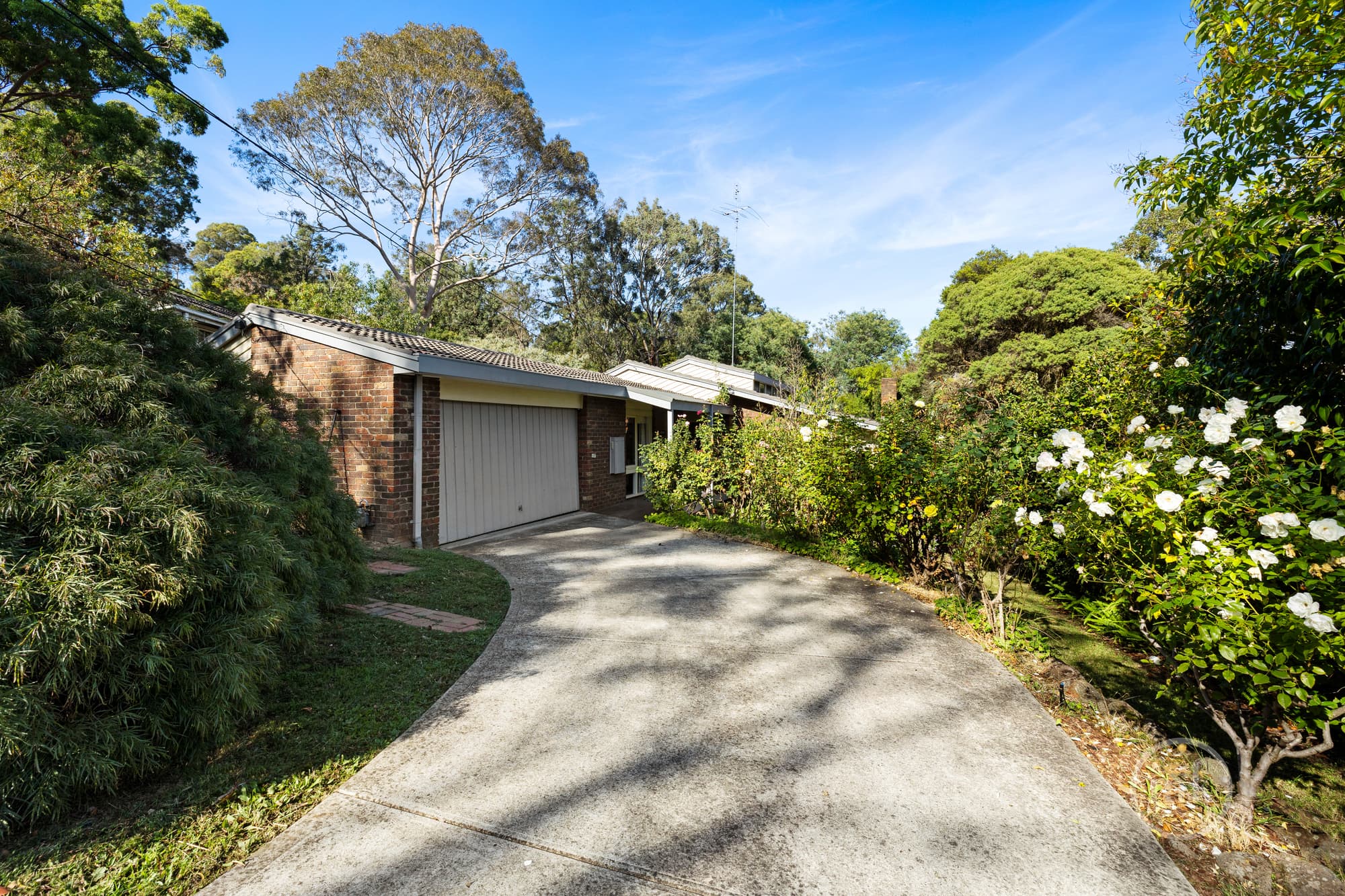 Eltham, Eltham - Thumbnail 2