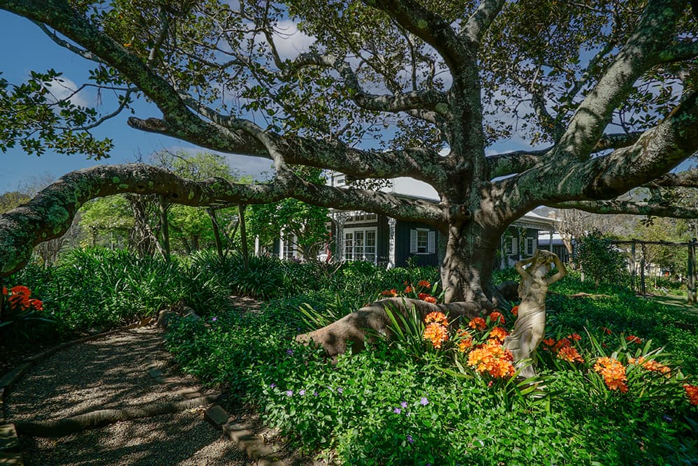 797 Allyn River Road, East Gresford, East Gresford - Thumbnail 2