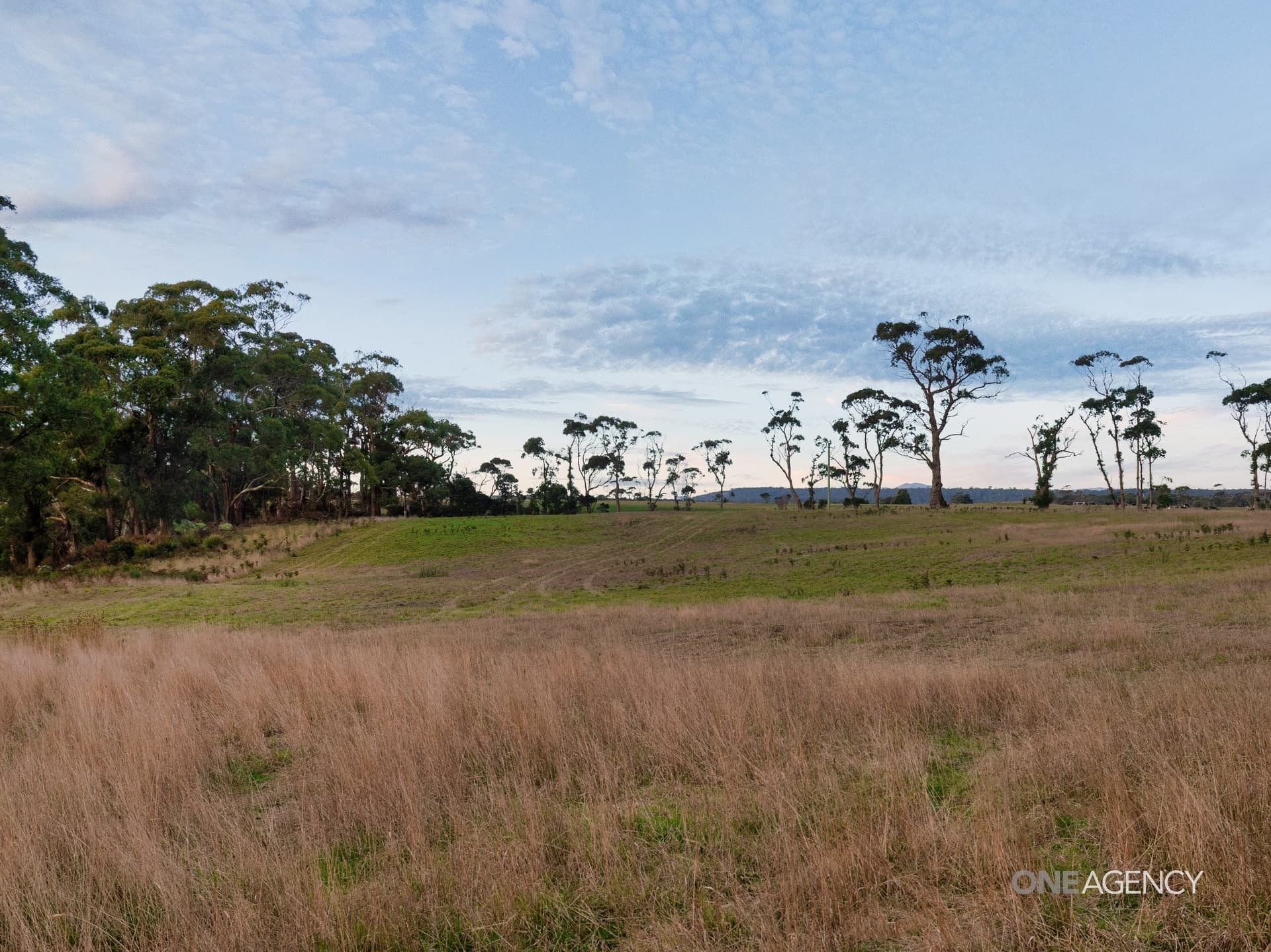 Lot 1 Boyndey Road, Black River, Black River - Thumbnail 5