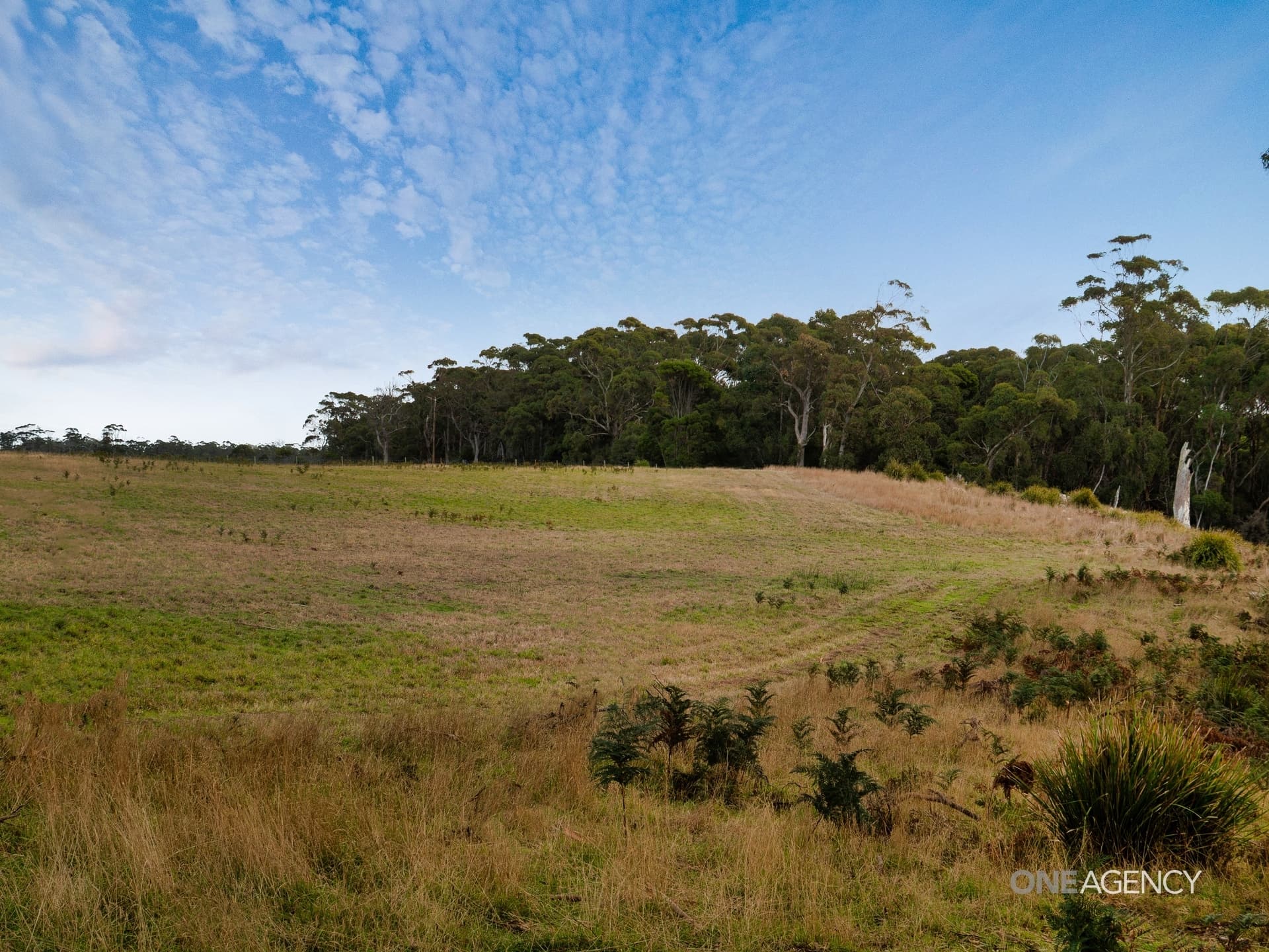 Lot 1 Boyndey Road, Black River, Black River - Thumbnail 6