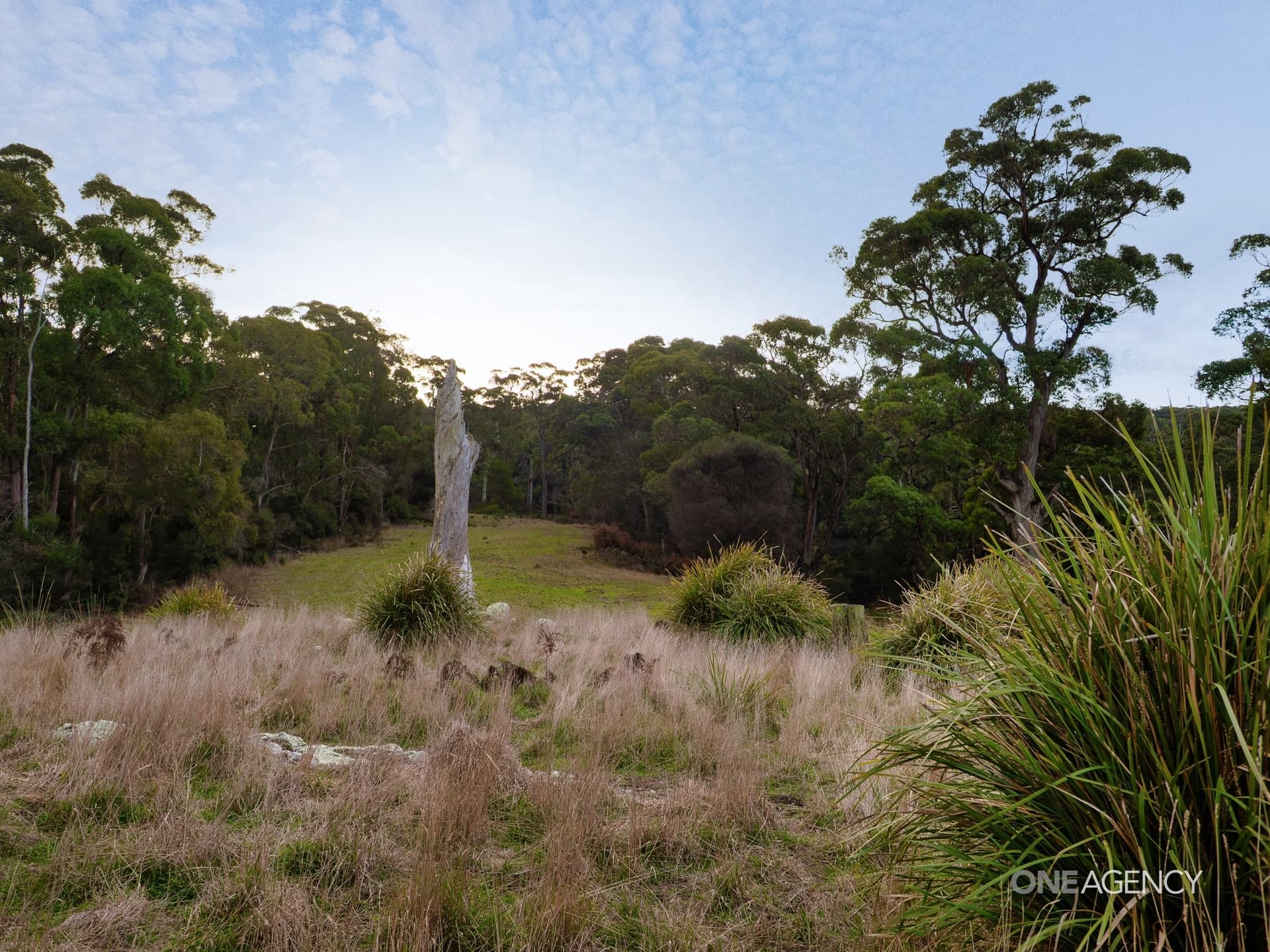 Lot 1 Boyndey Road, Black River, Black River - Thumbnail 7