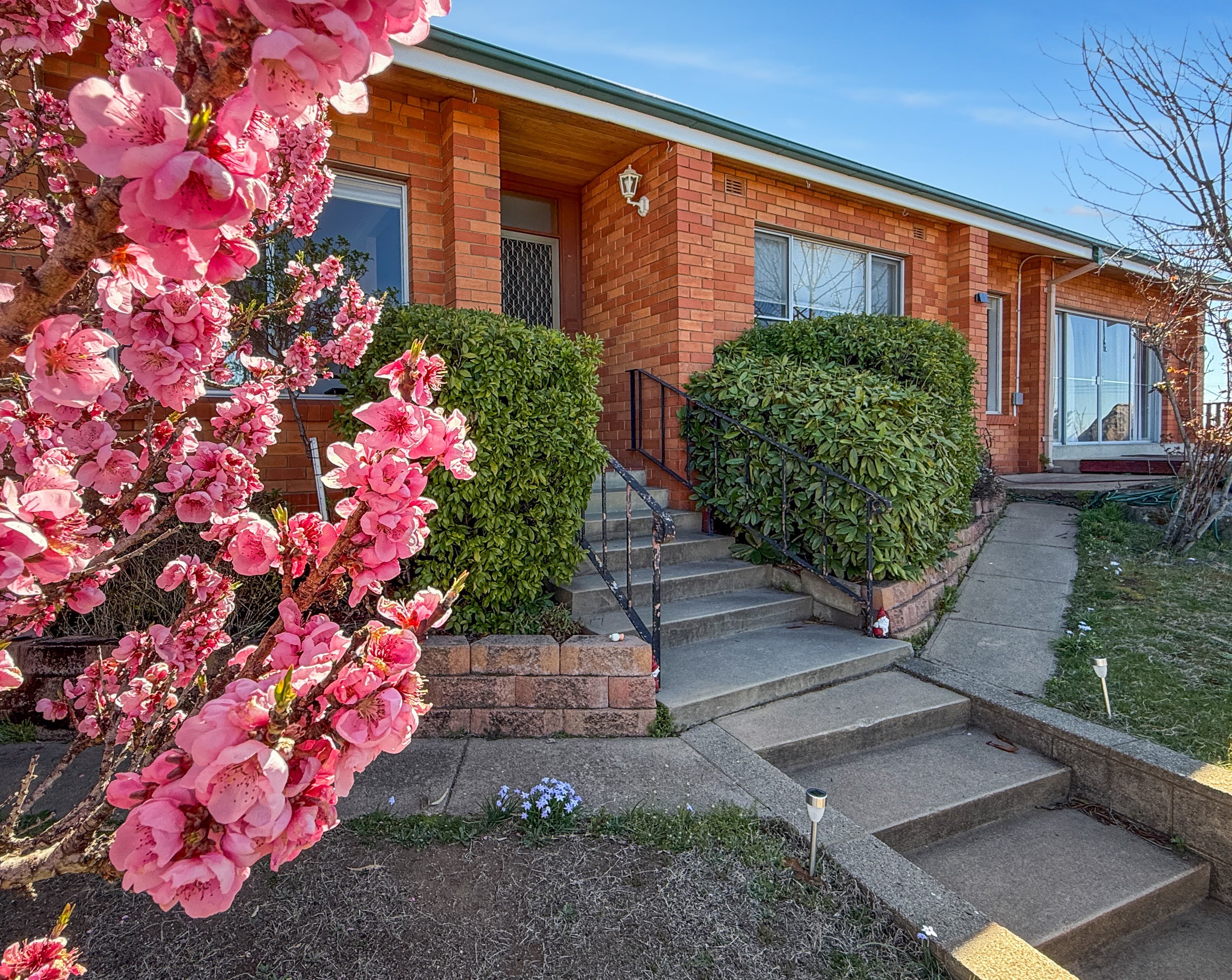 19 Bligh Street, Cooma, Cooma - Image 1