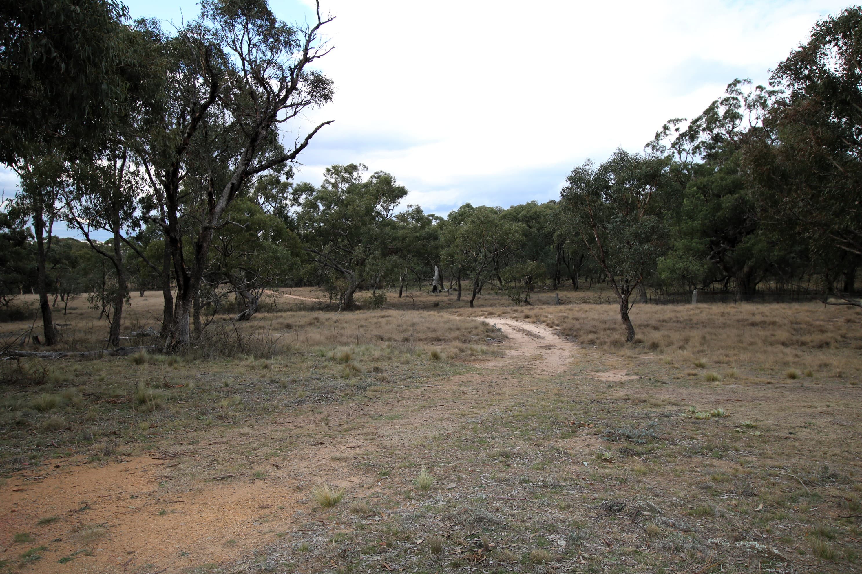 397 Rothlyn Road, Chakola, Chakola - Thumbnail 2
