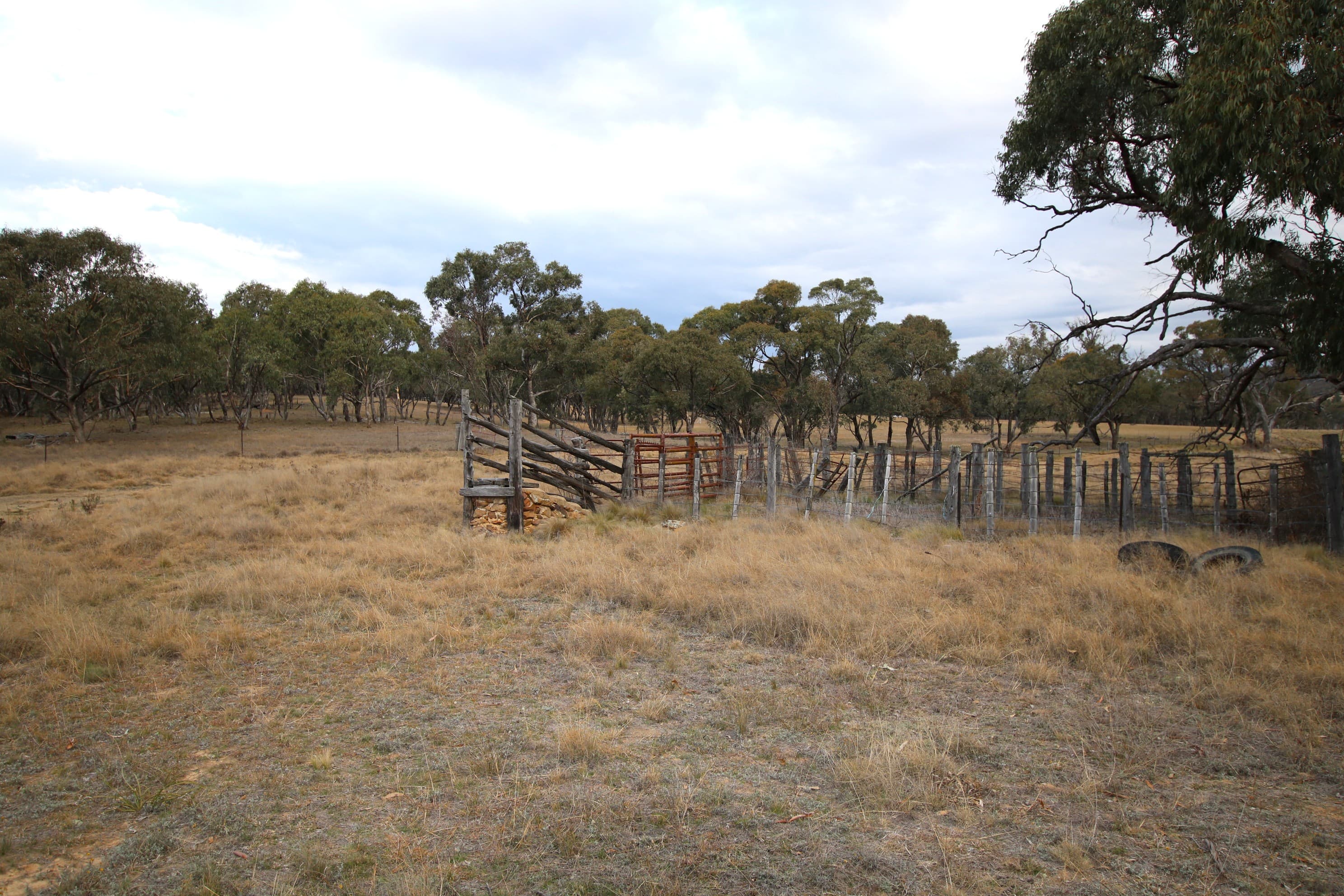 397 Rothlyn Road, Chakola, Chakola - Thumbnail 3