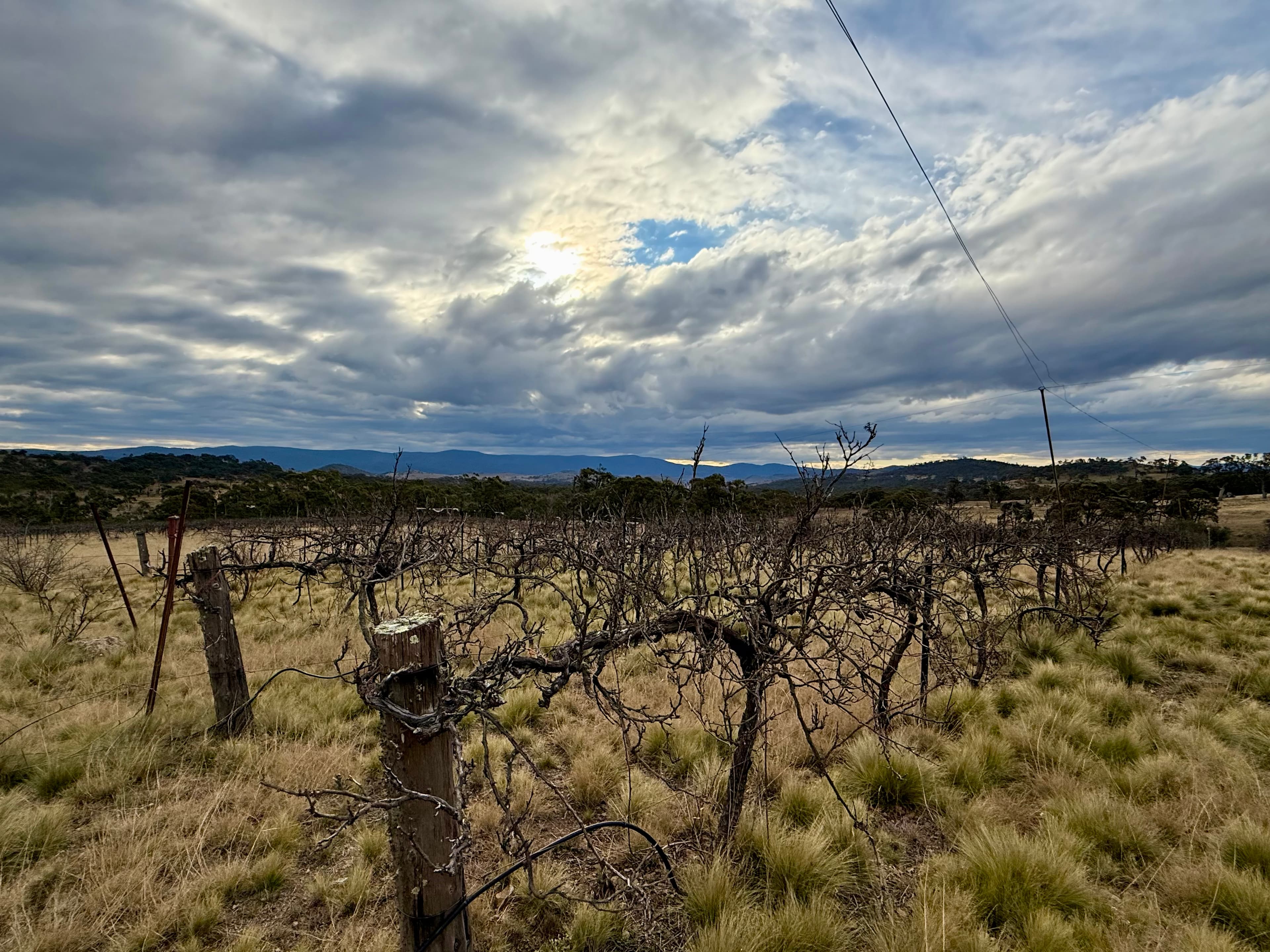 397 Rothlyn Road, Chakola, Chakola - Thumbnail 7