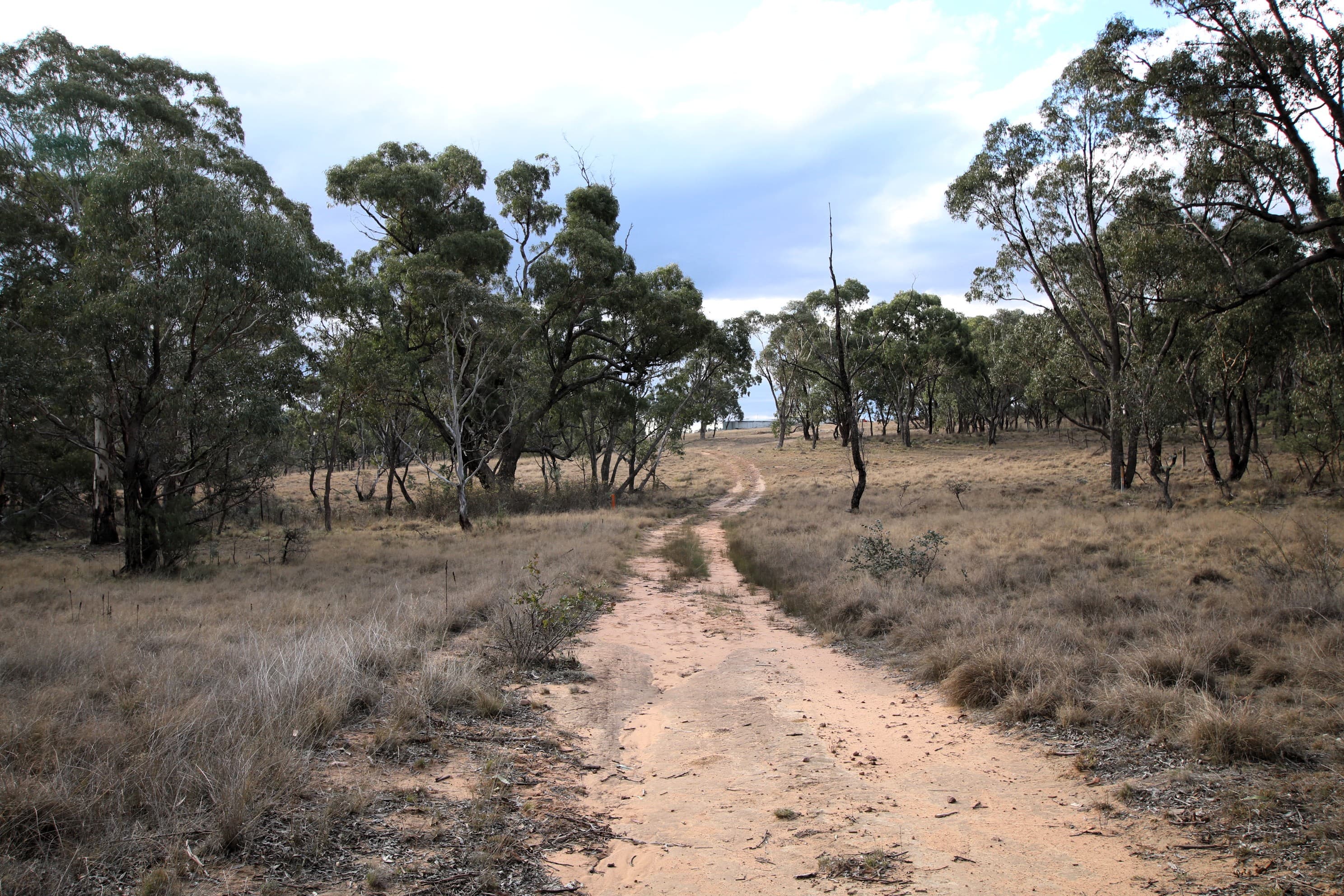 397 Rothlyn Road, Chakola, Chakola - Image 1