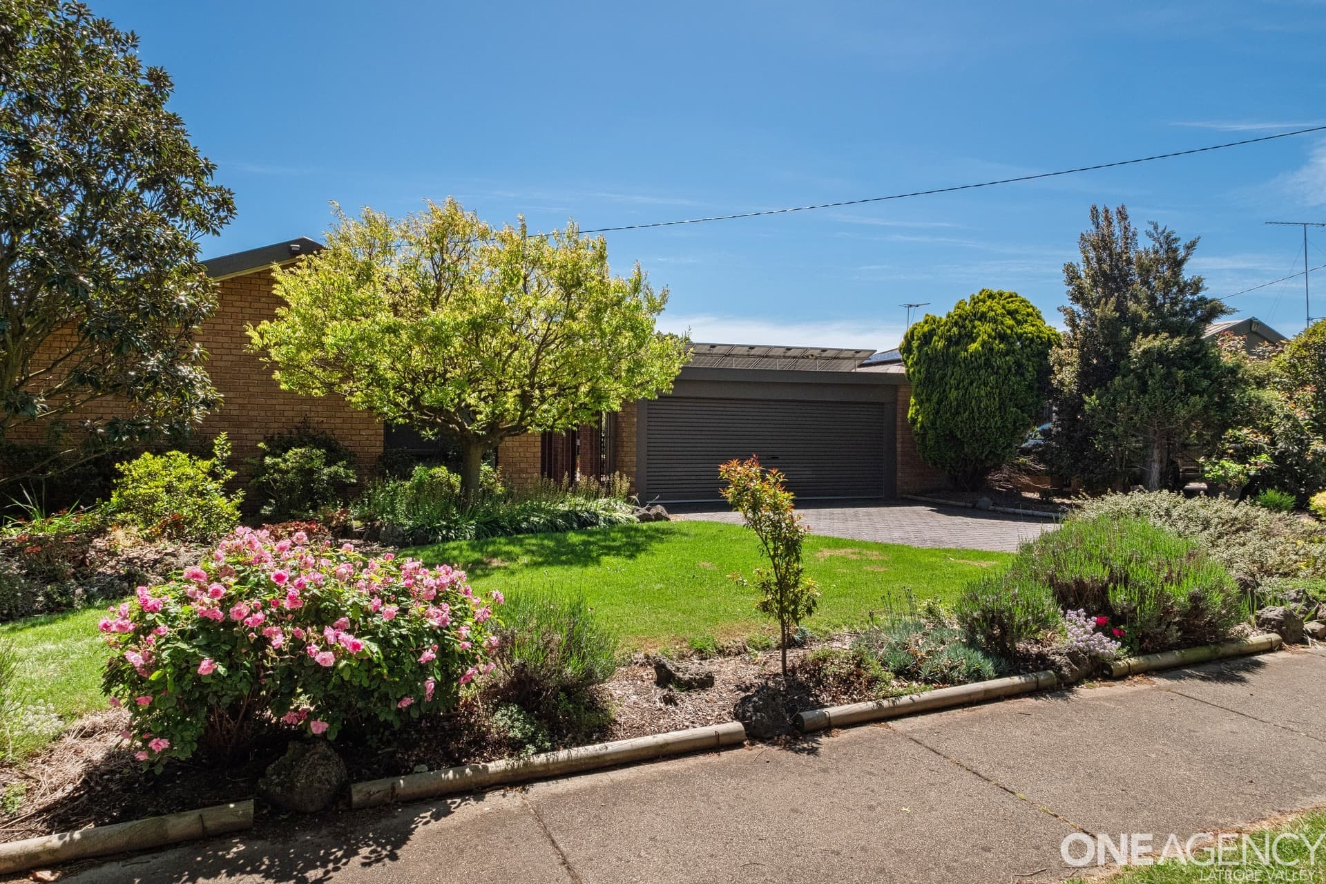 6 Firmin Street, Traralgon, Traralgon - Thumbnail 6