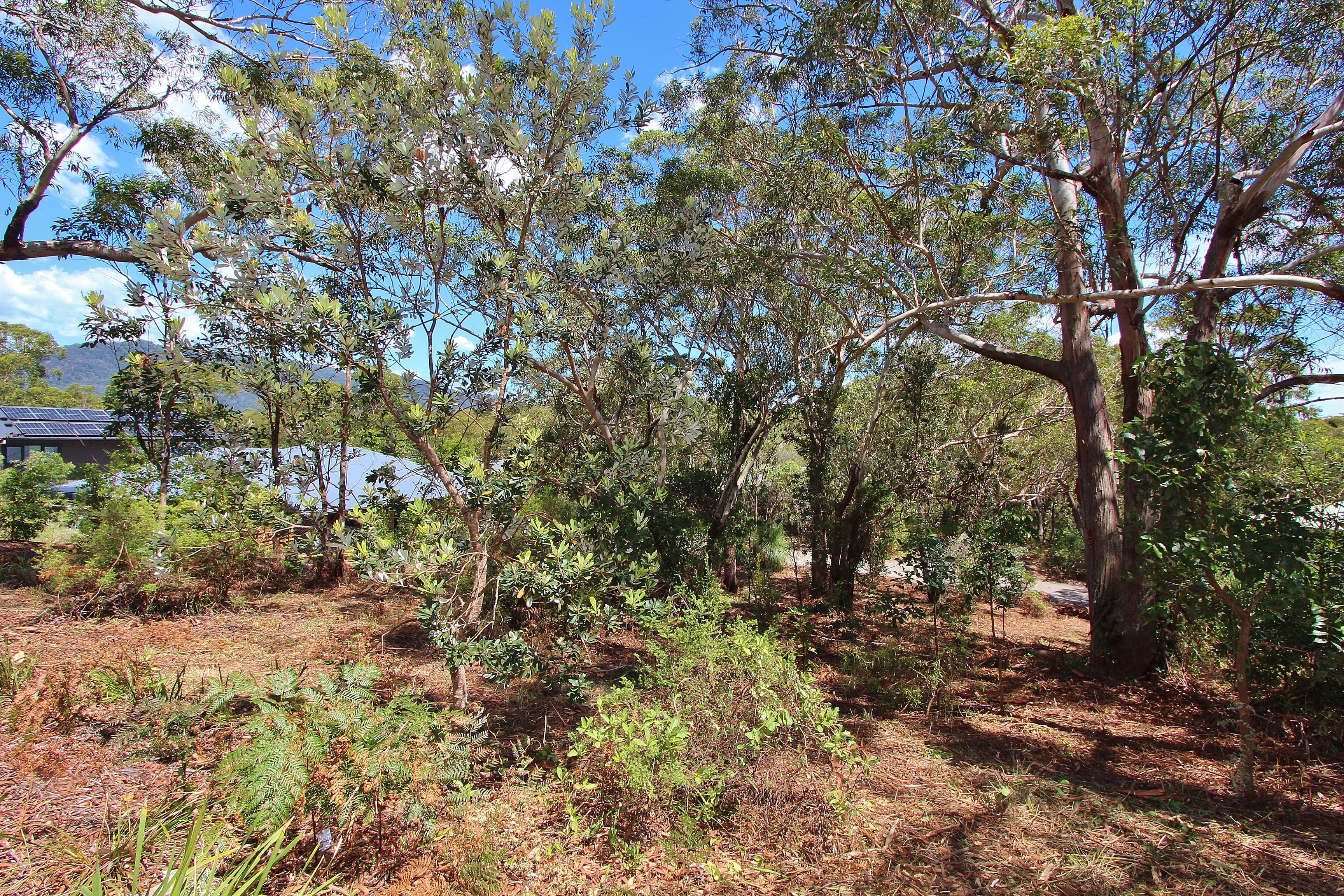 13 Pindari Drive, Dunbogan, Dunbogan - Thumbnail 6