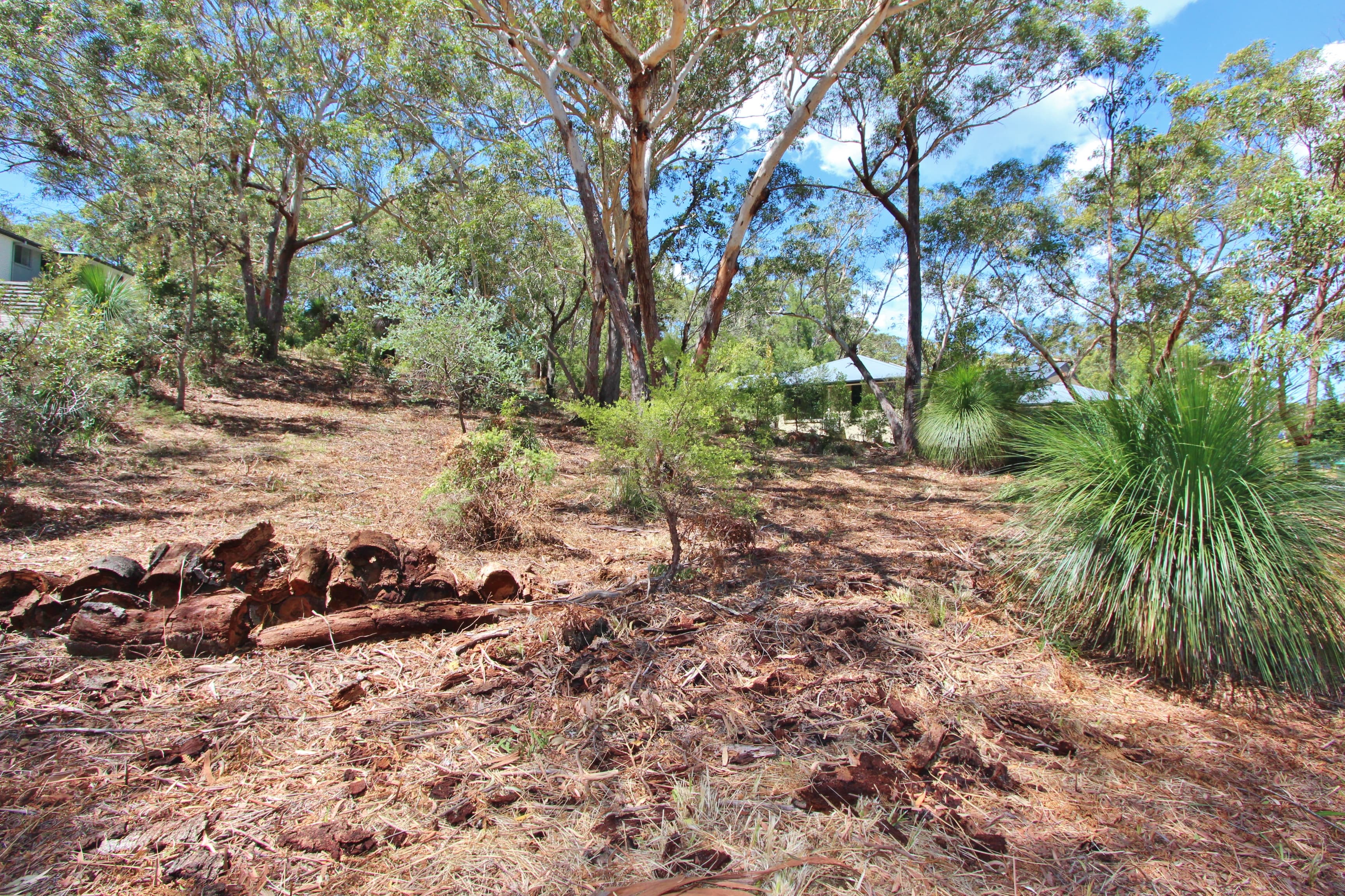 13 Pindari Drive, Dunbogan, Dunbogan - Thumbnail 5