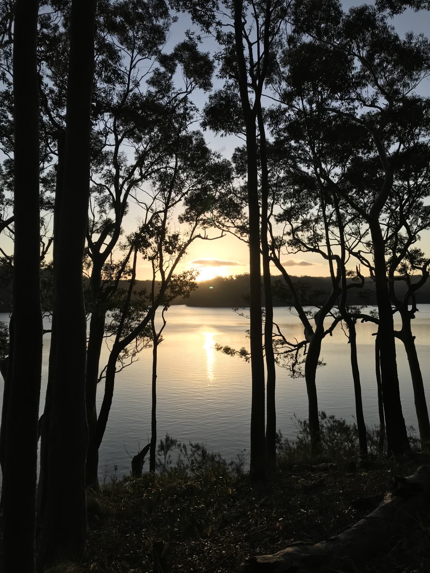 8 William Street, Kings Point, Kings Point - Thumbnail 3