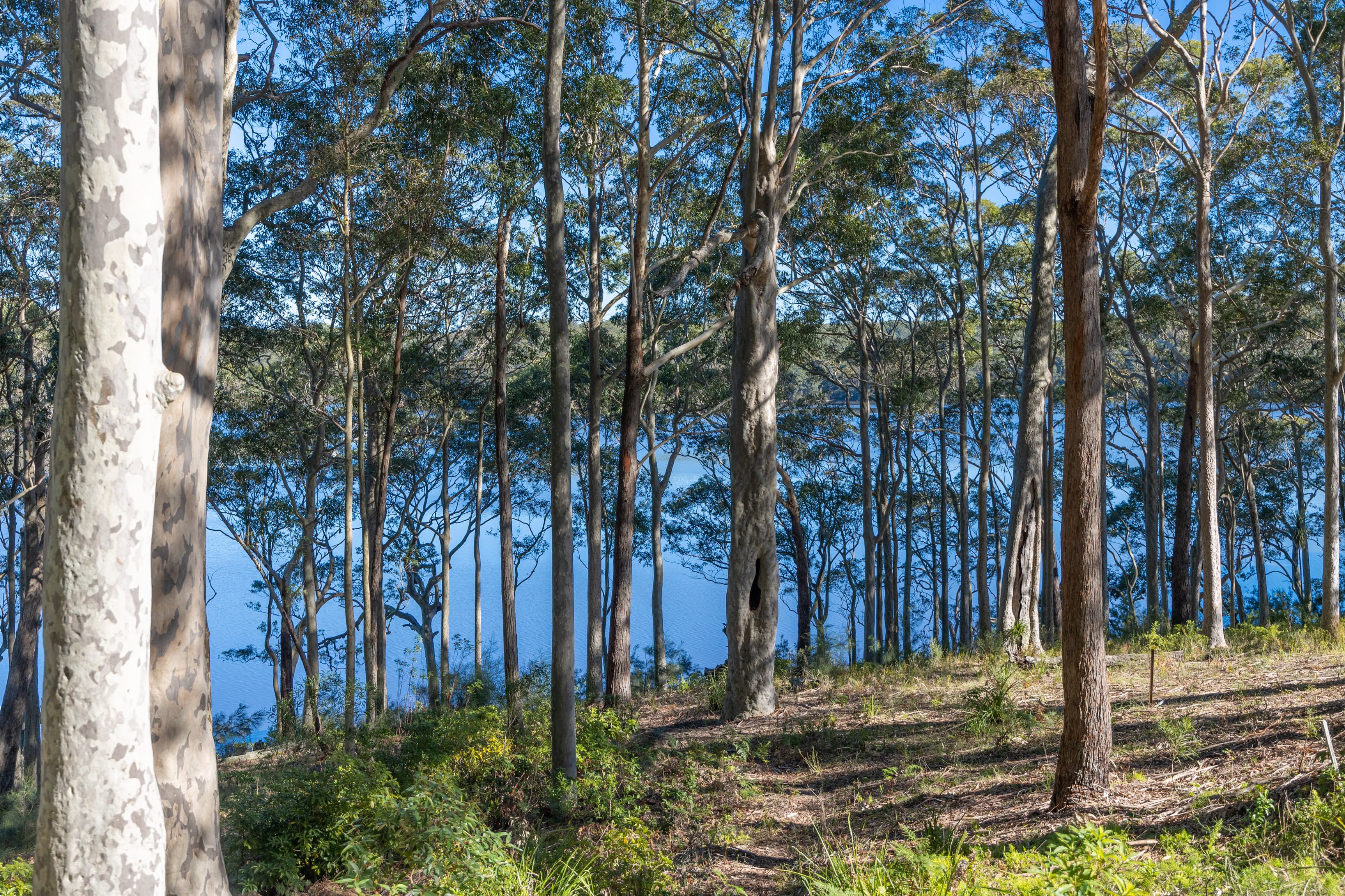 8 William Street, Kings Point, Kings Point - Thumbnail 4