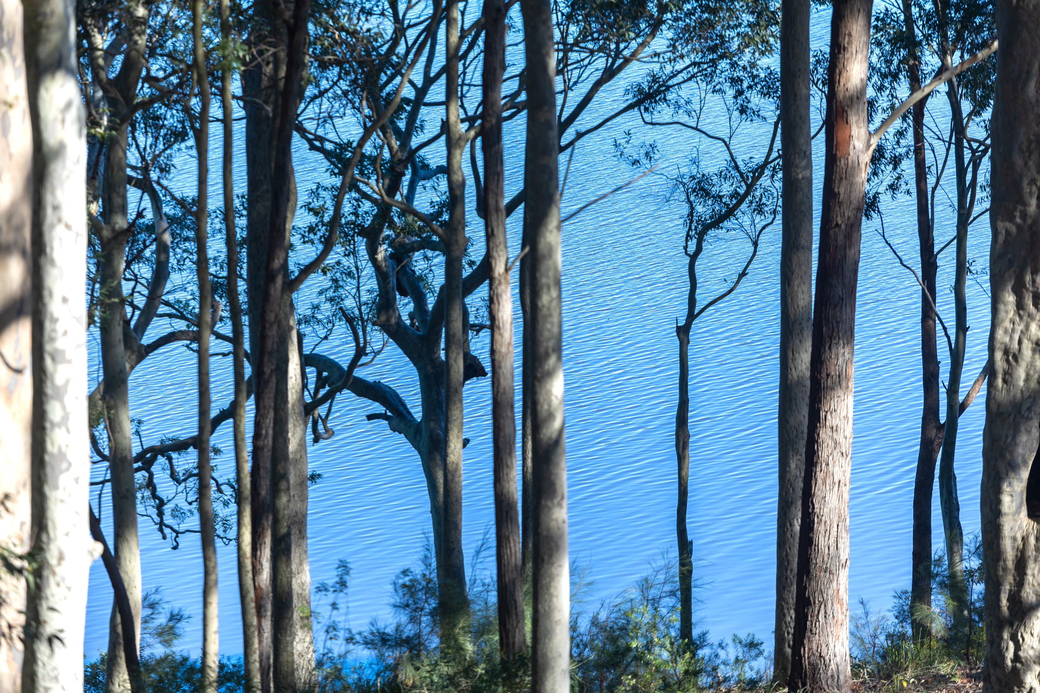 8 William Street, Kings Point, Kings Point - Thumbnail 8