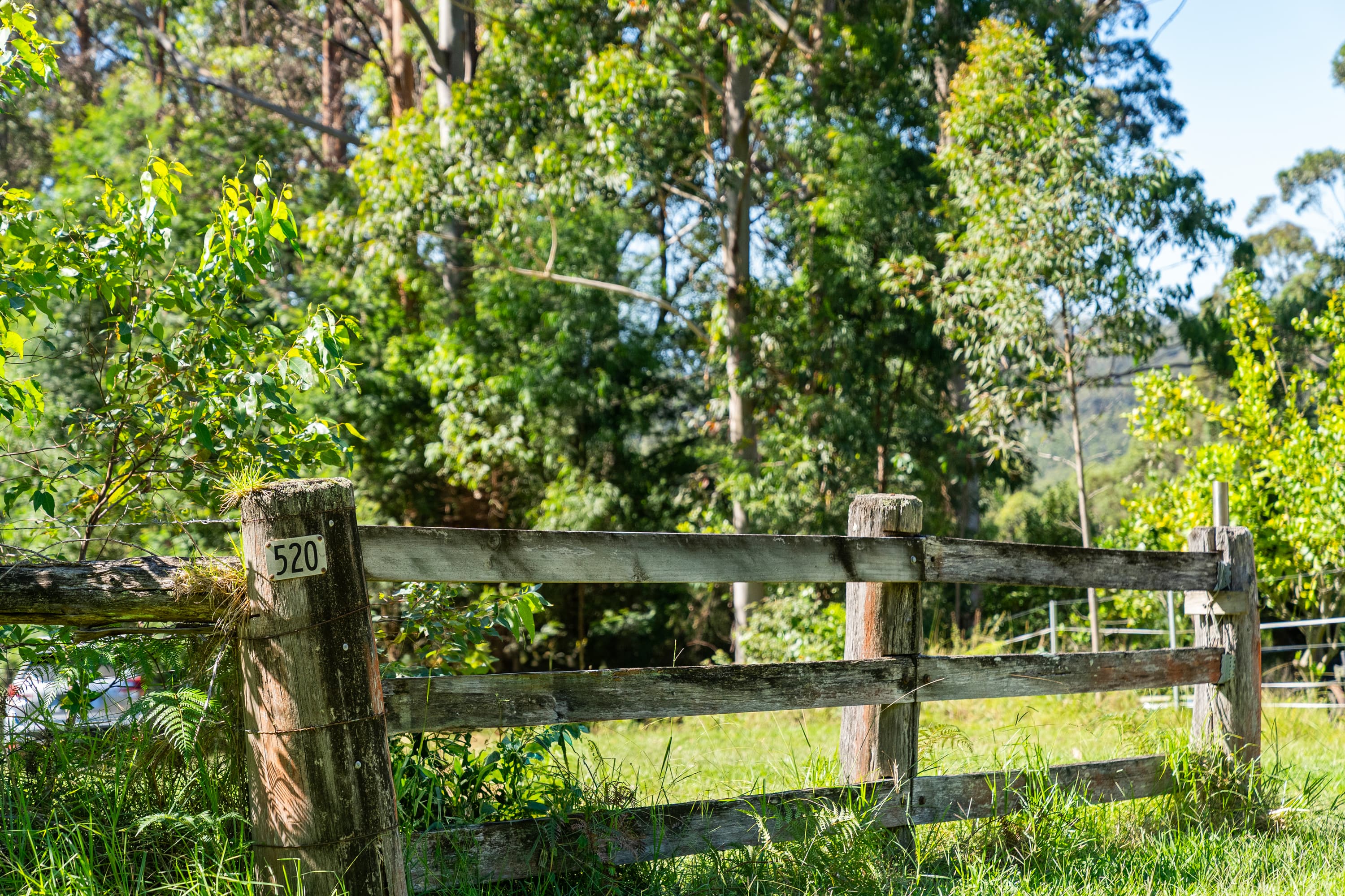 520 Monkey Mountain Road, Morton, Morton - Thumbnail 4