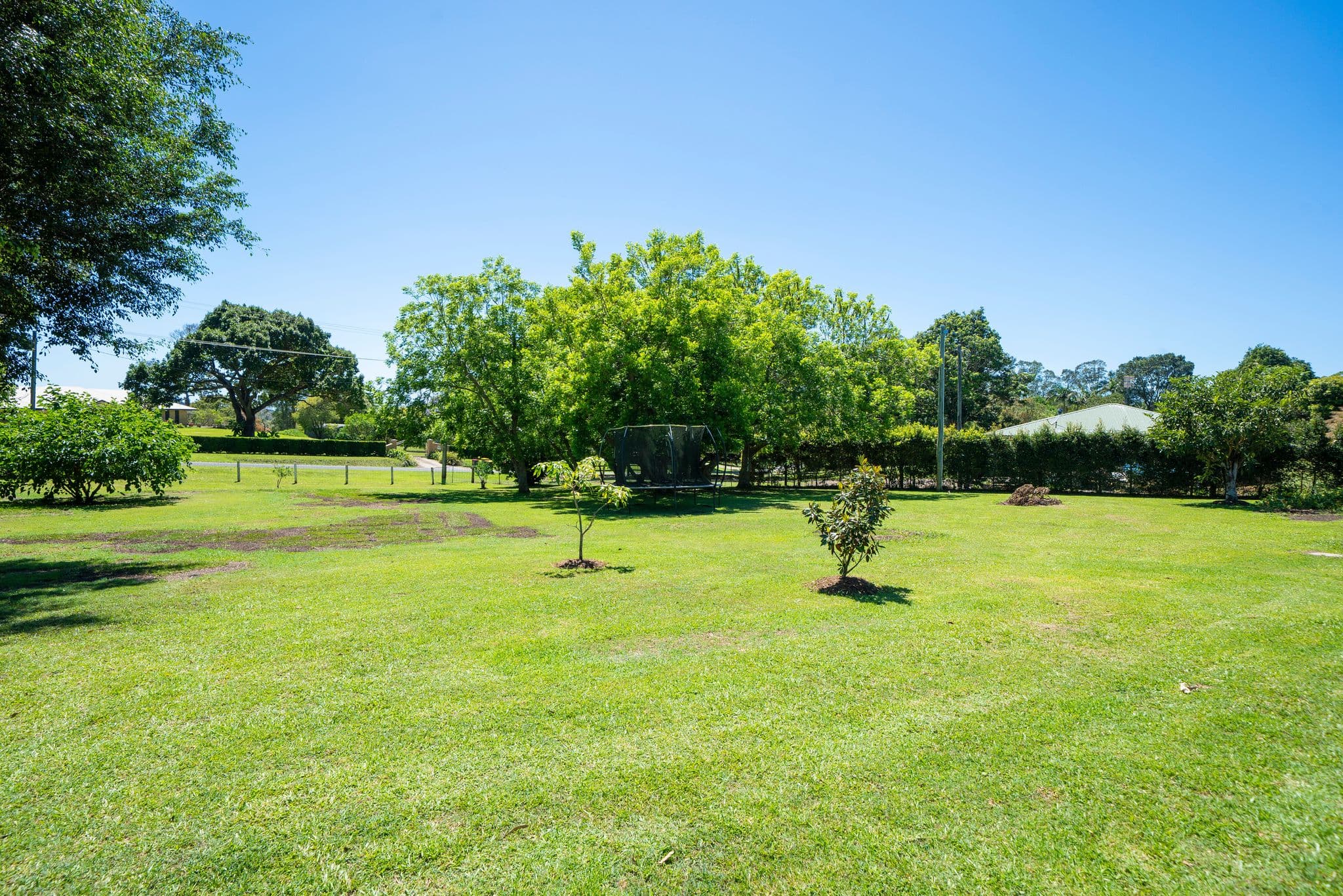 56 Nadi Lane, North Maleny, North Maleny - Thumbnail 3