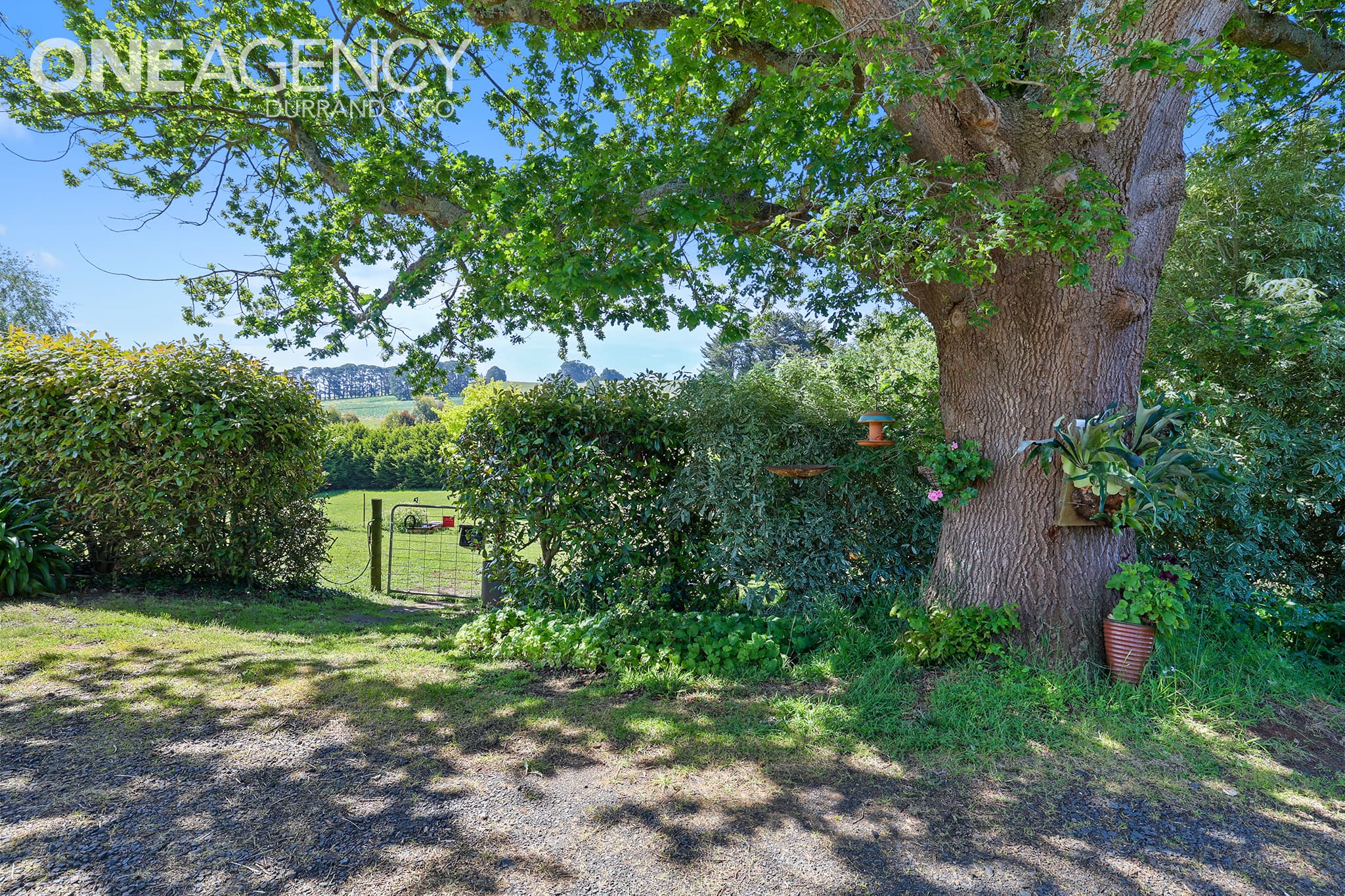 454 Trafalgar South Road, Thorpdale, Thorpdale - Thumbnail 3
