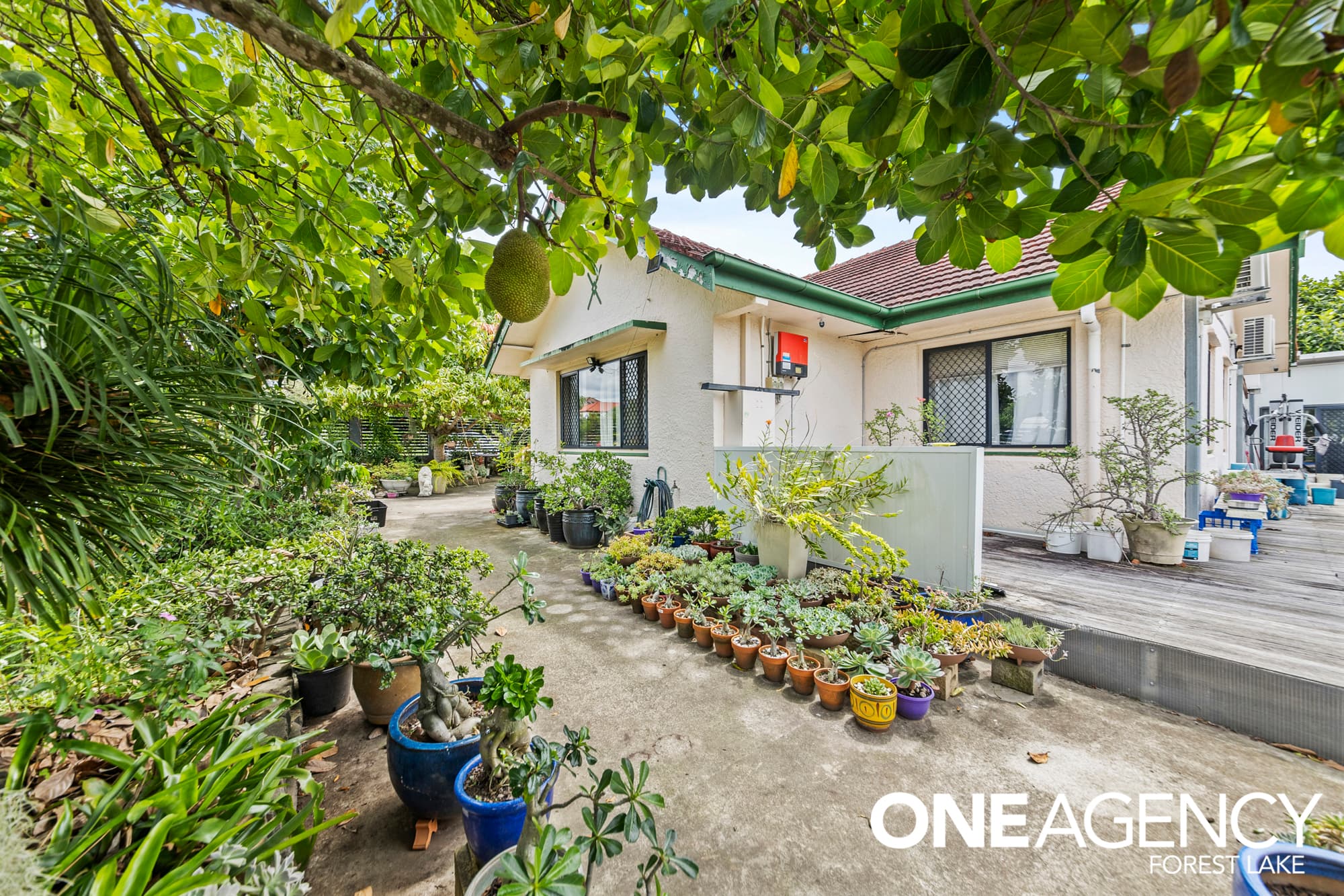 17 Columbine Street, Inala, Inala - Thumbnail 4