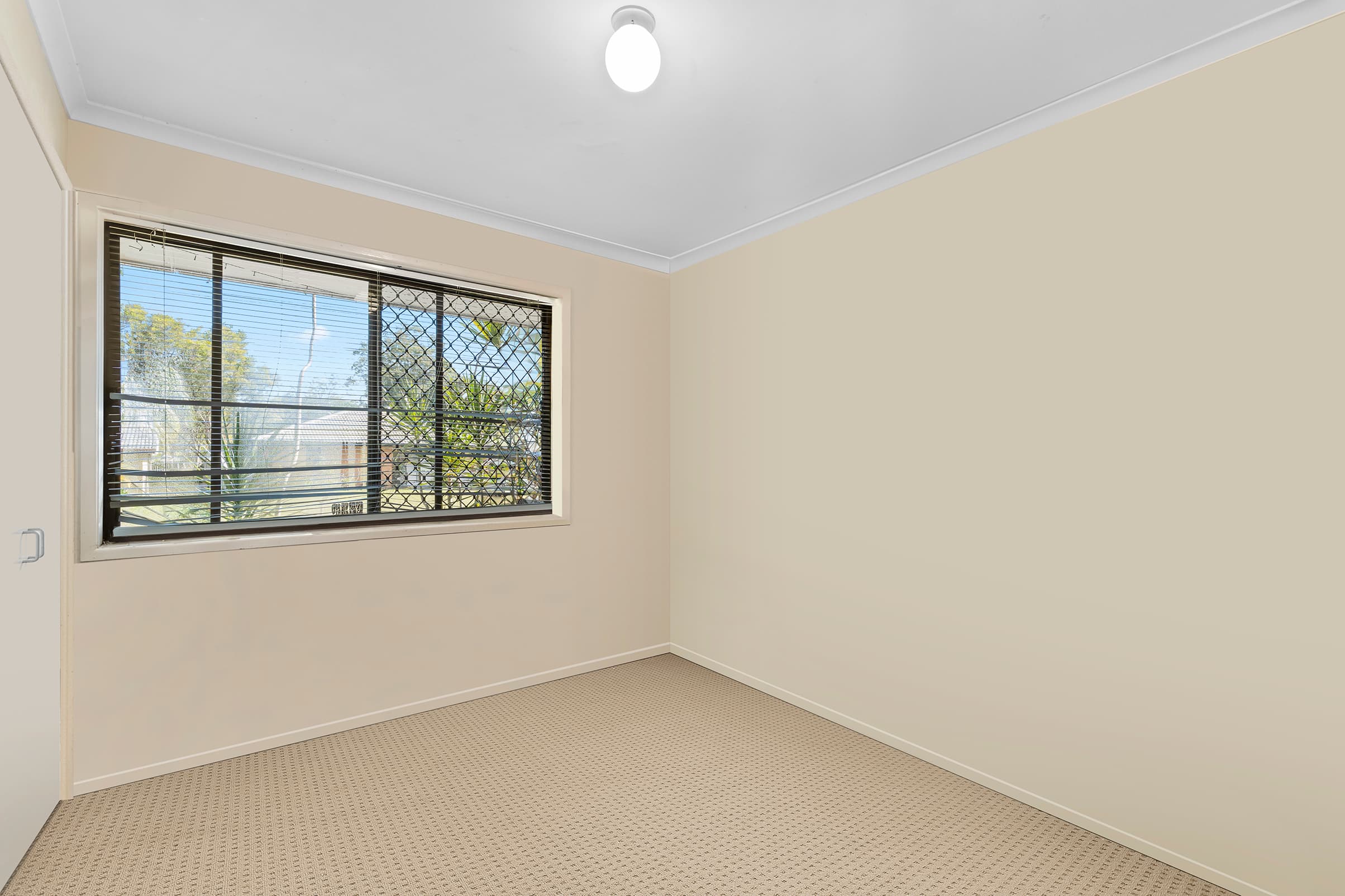 11 Anchusa Street, Kingston, Kingston - Thumbnail 8