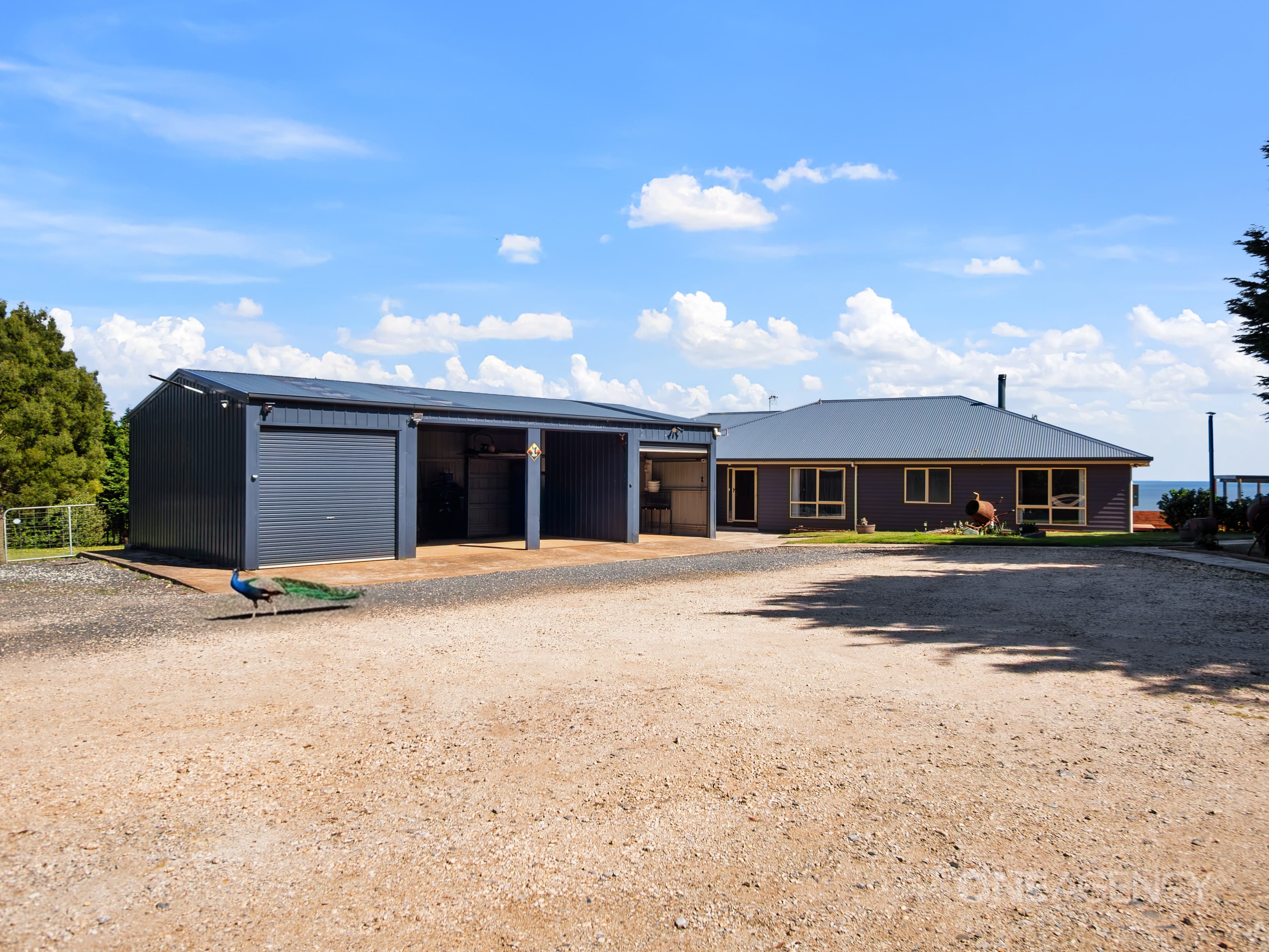 17206 Bass Highway, Boat Harbour, Boat Harbour - Thumbnail 4