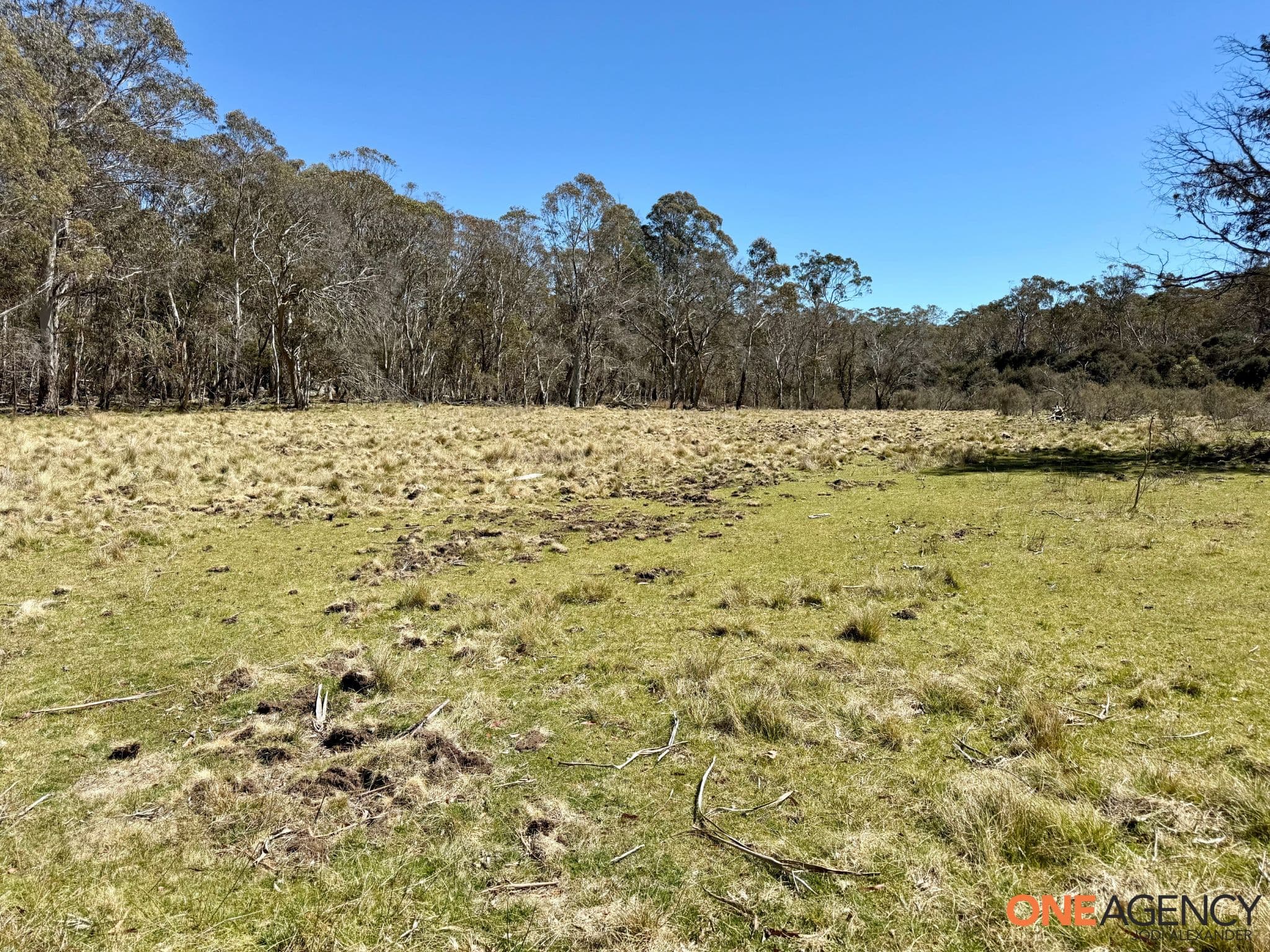Lots 113 & 114 Kydra Firetrail Greenlands Road, Greenlands, Greenlands - Thumbnail 4