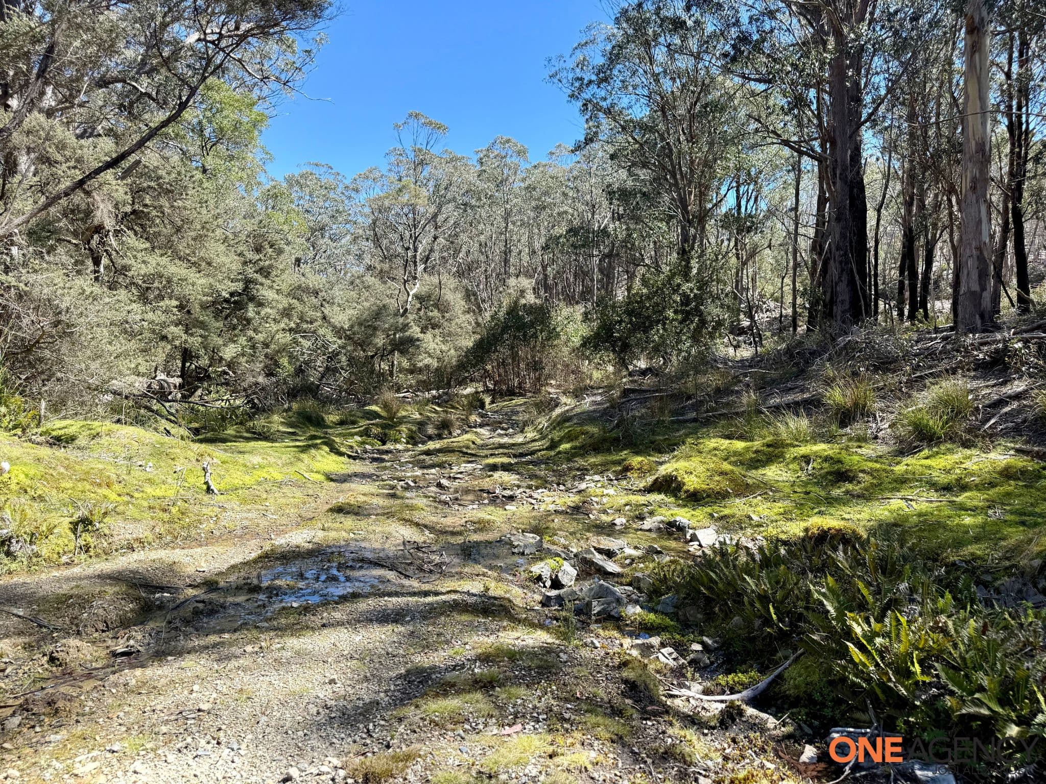 Lots 113 & 114 Kydra Firetrail Greenlands Road, Greenlands, Greenlands - Image 1