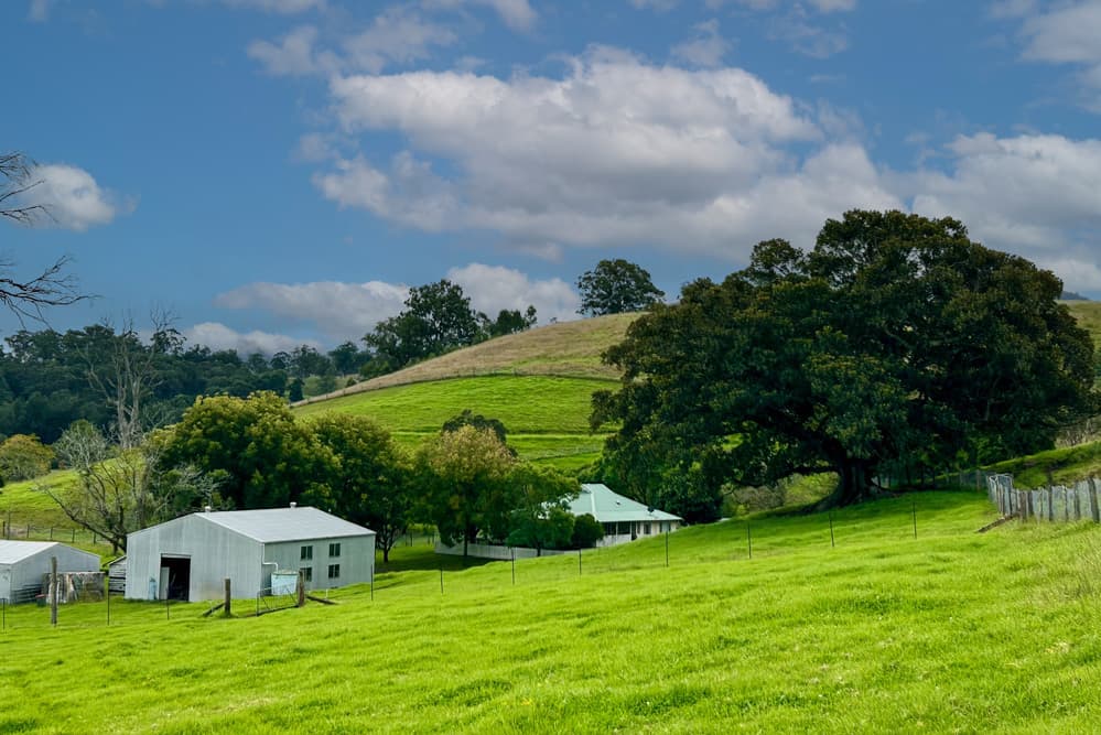 1644 Paterson River Road, Lostock, Lostock - Thumbnail 2
