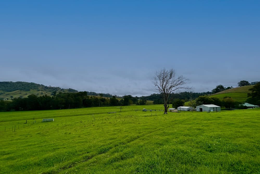 1644 Paterson River Road, Lostock, Lostock - Thumbnail 3