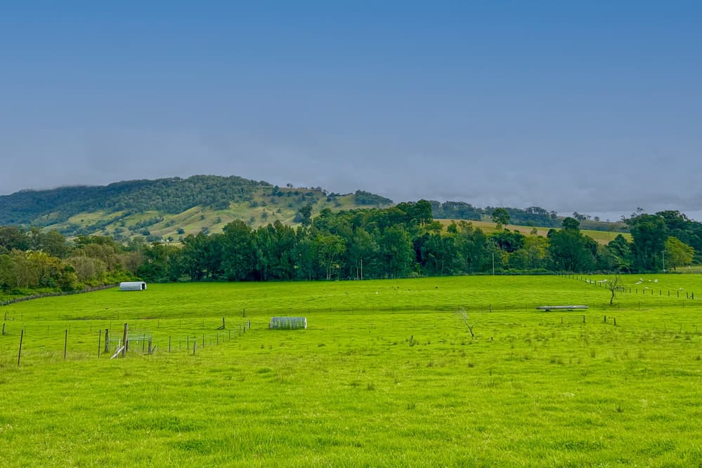 1644 Paterson River Road, Lostock, Lostock - Thumbnail 5