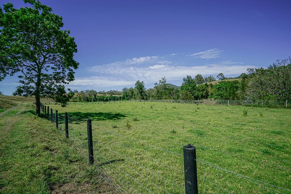 1644 Paterson River Road, Lostock, Lostock - Thumbnail 6