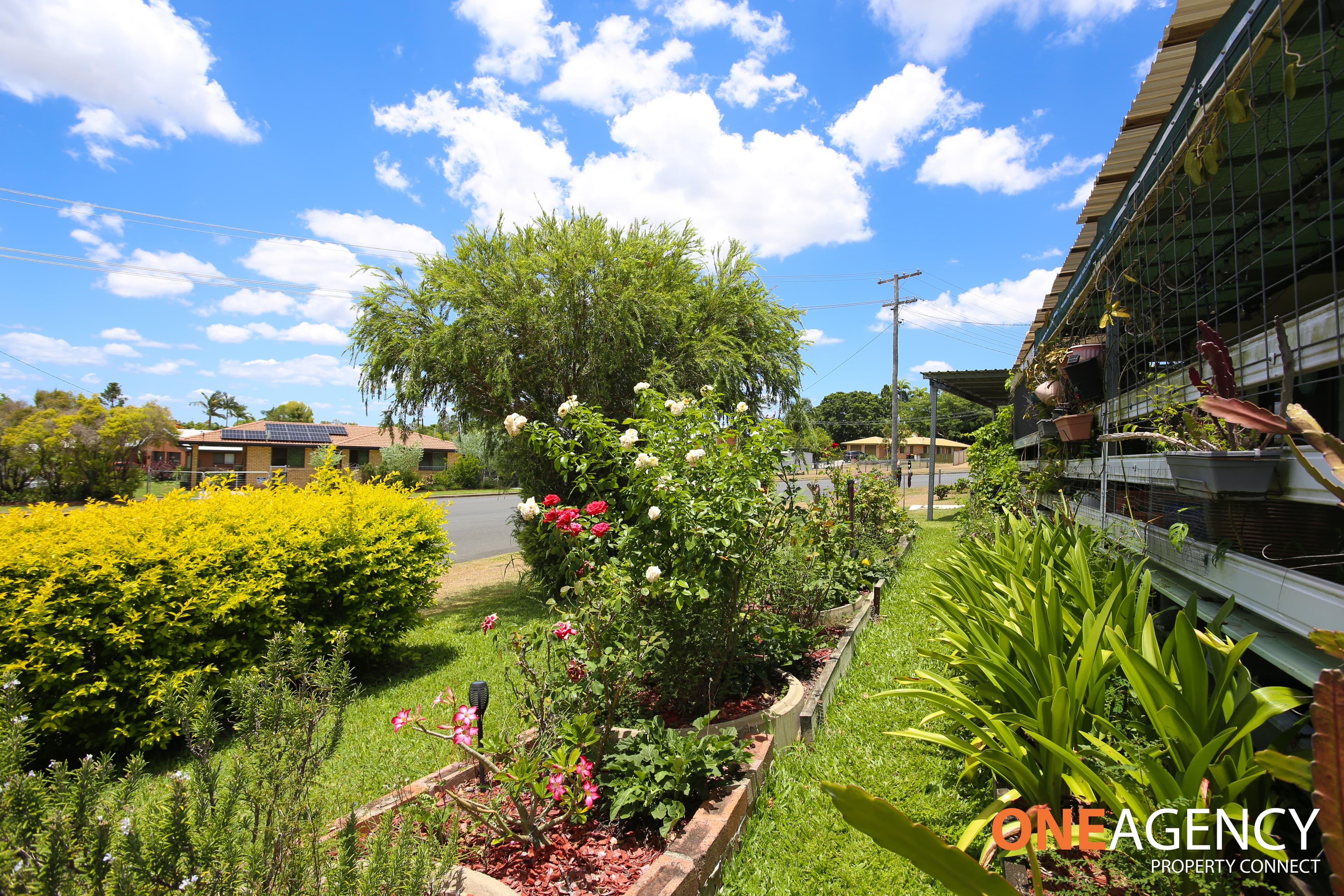 3 Sunrise Crescent, Gracemere, Gracemere - Thumbnail 6