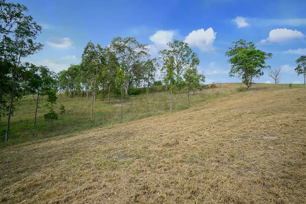 55 Baerami Close, East Gresford, East Gresford - Thumbnail 4
