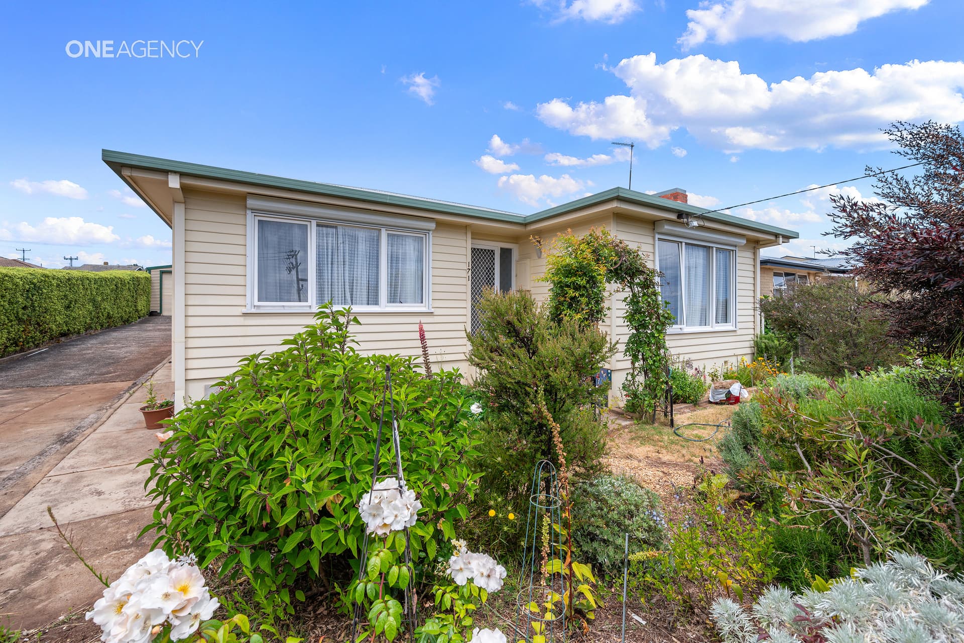 171 Madden Street, Devonport, Devonport - Image 1