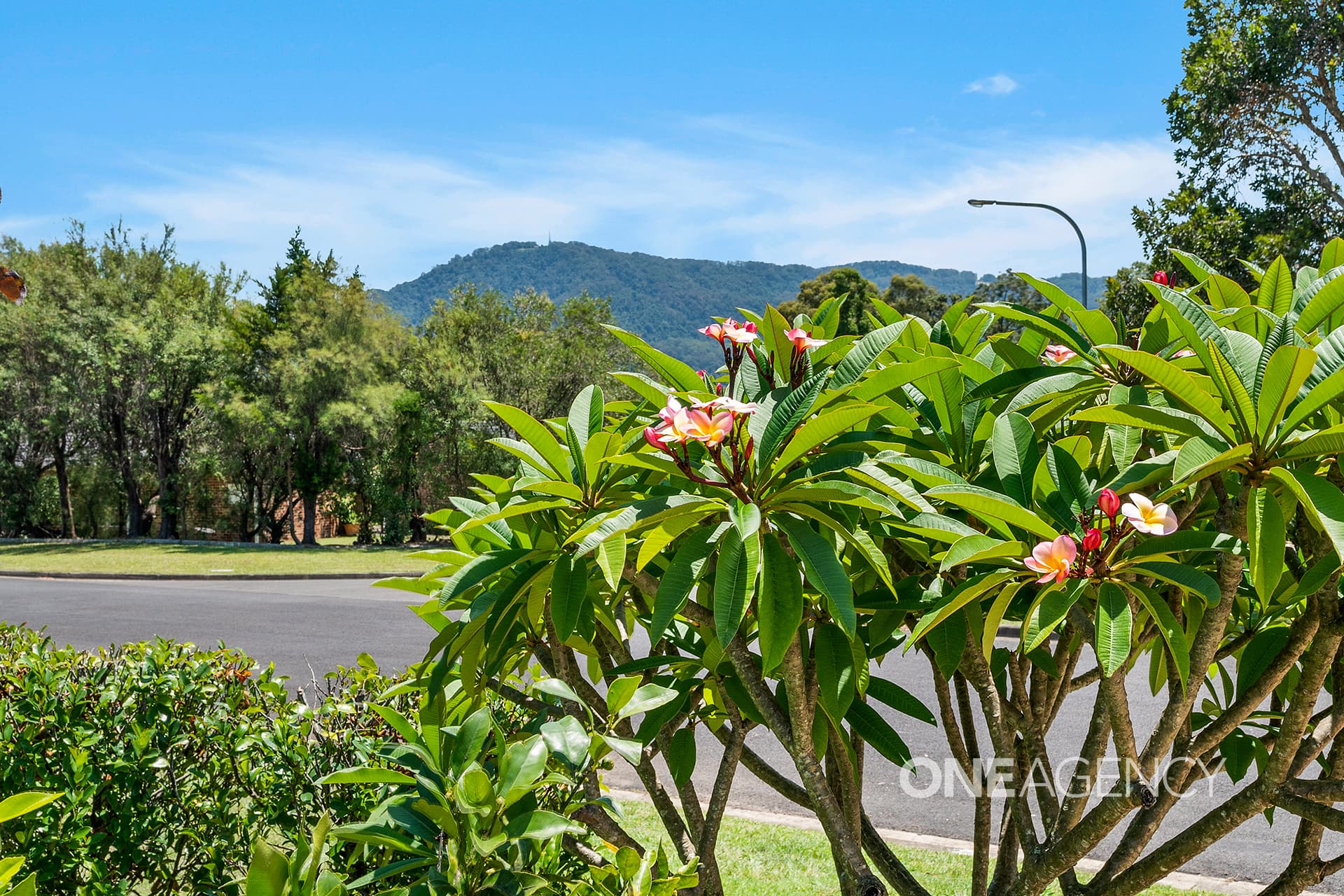 4 Wilari Close, Bomaderry, Bomaderry - Thumbnail 2