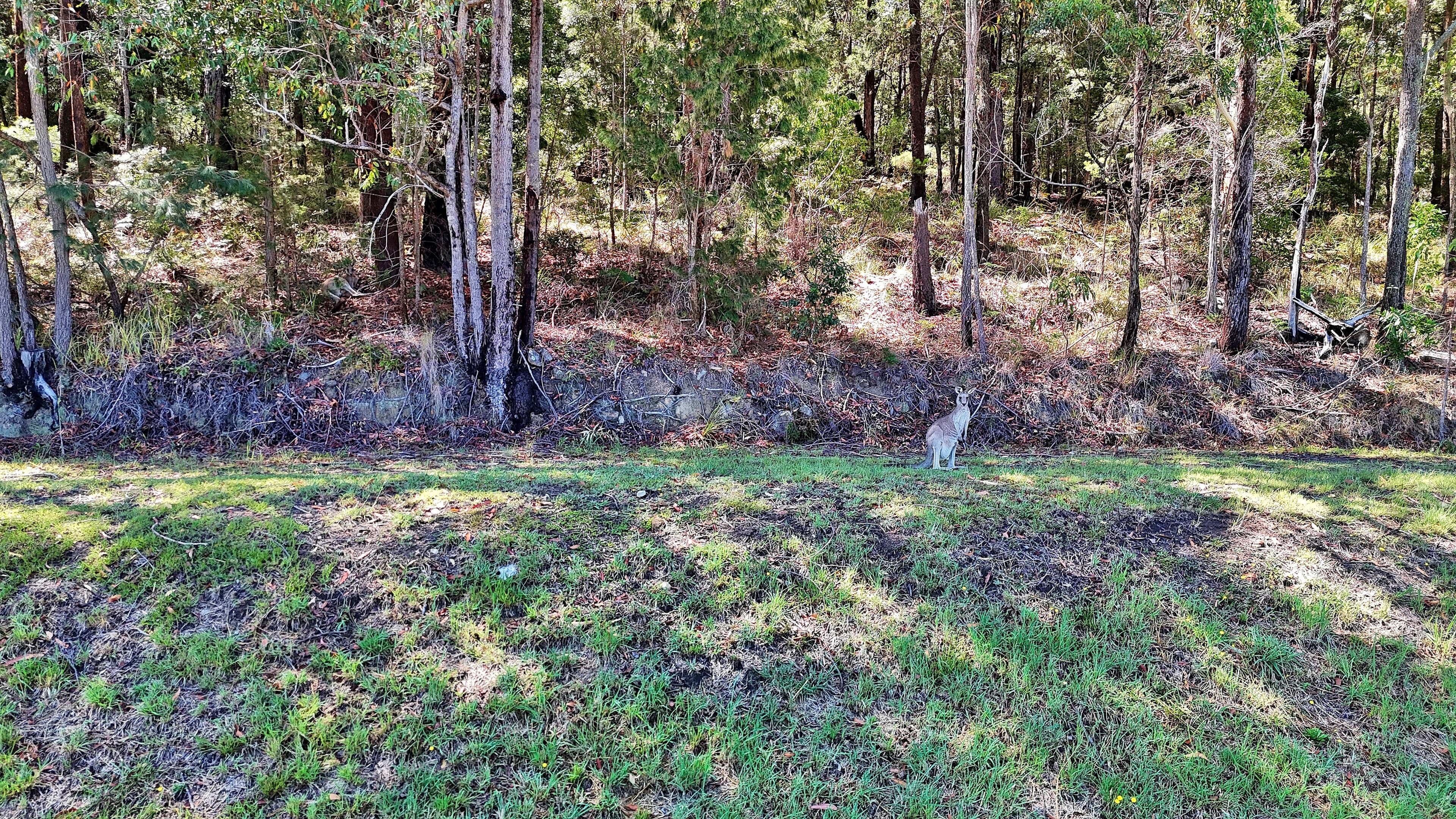4 Candlebark Court, Lakewood, Lakewood - Thumbnail 4