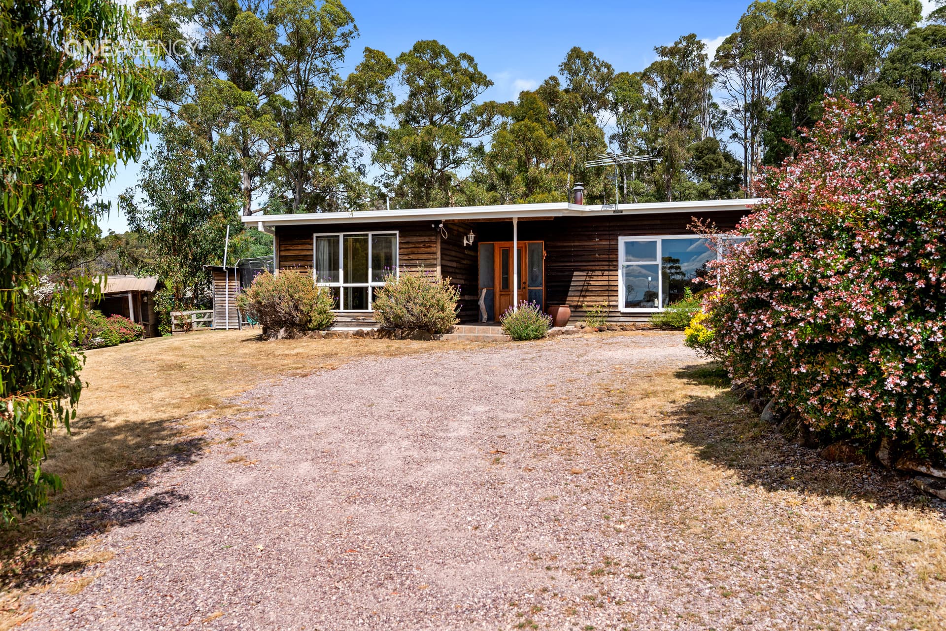 29 Hamiltons Road, Railton, Railton - Thumbnail 4