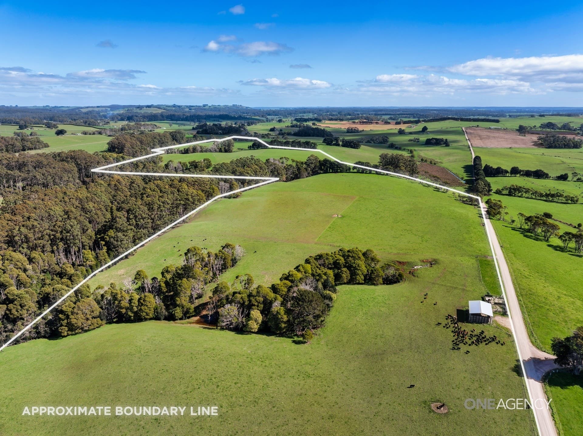 206 Murrays Lane, South Forest, South Forest - Thumbnail 2