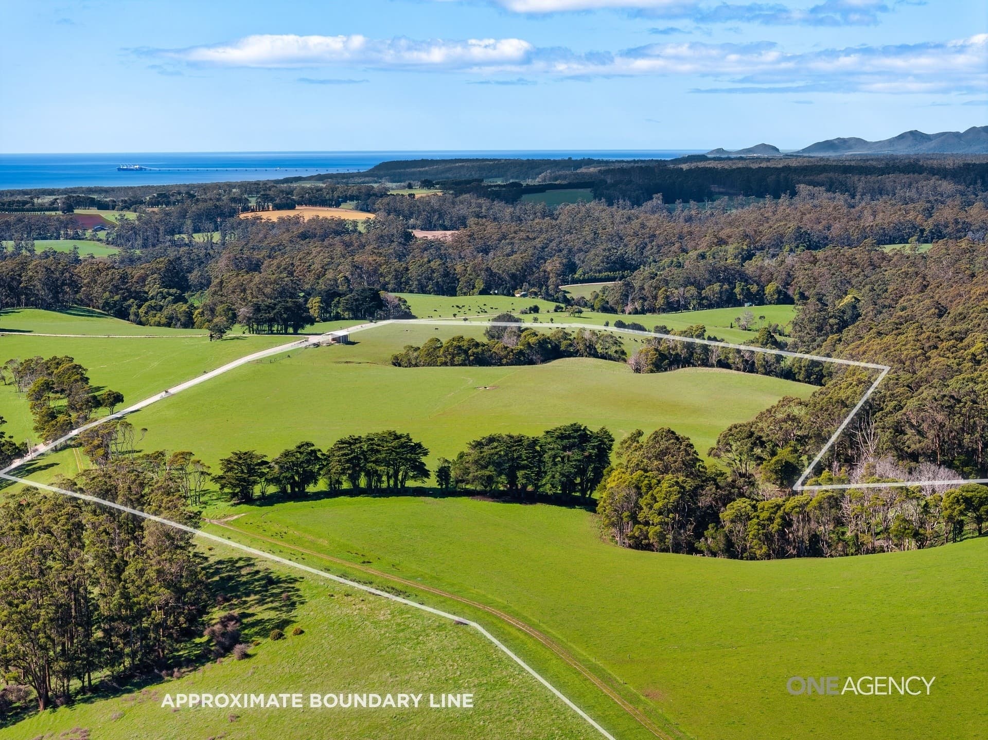 206 Murrays Lane, South Forest, South Forest - Thumbnail 3
