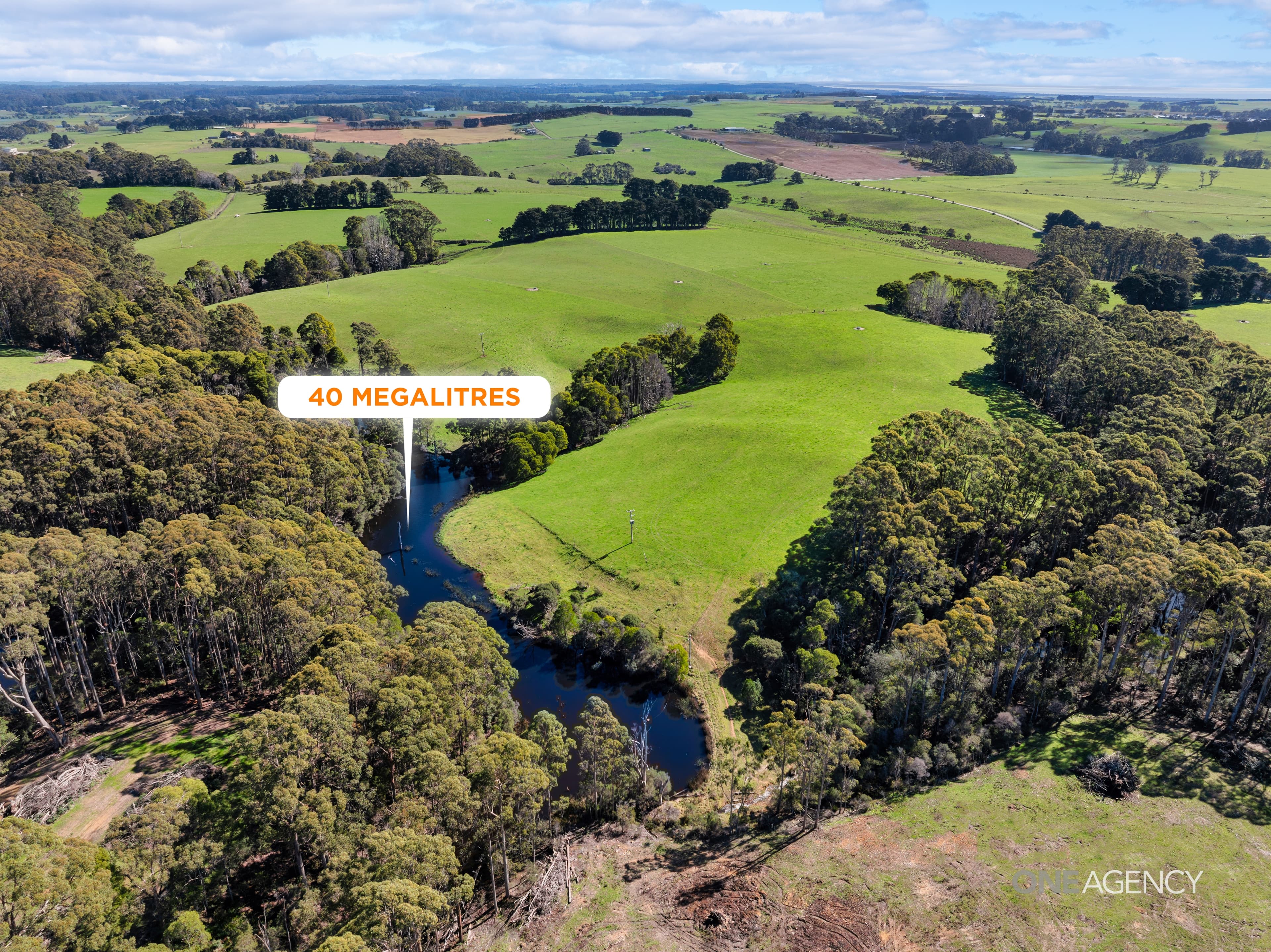 206 Murrays Lane, South Forest, South Forest - Thumbnail 4