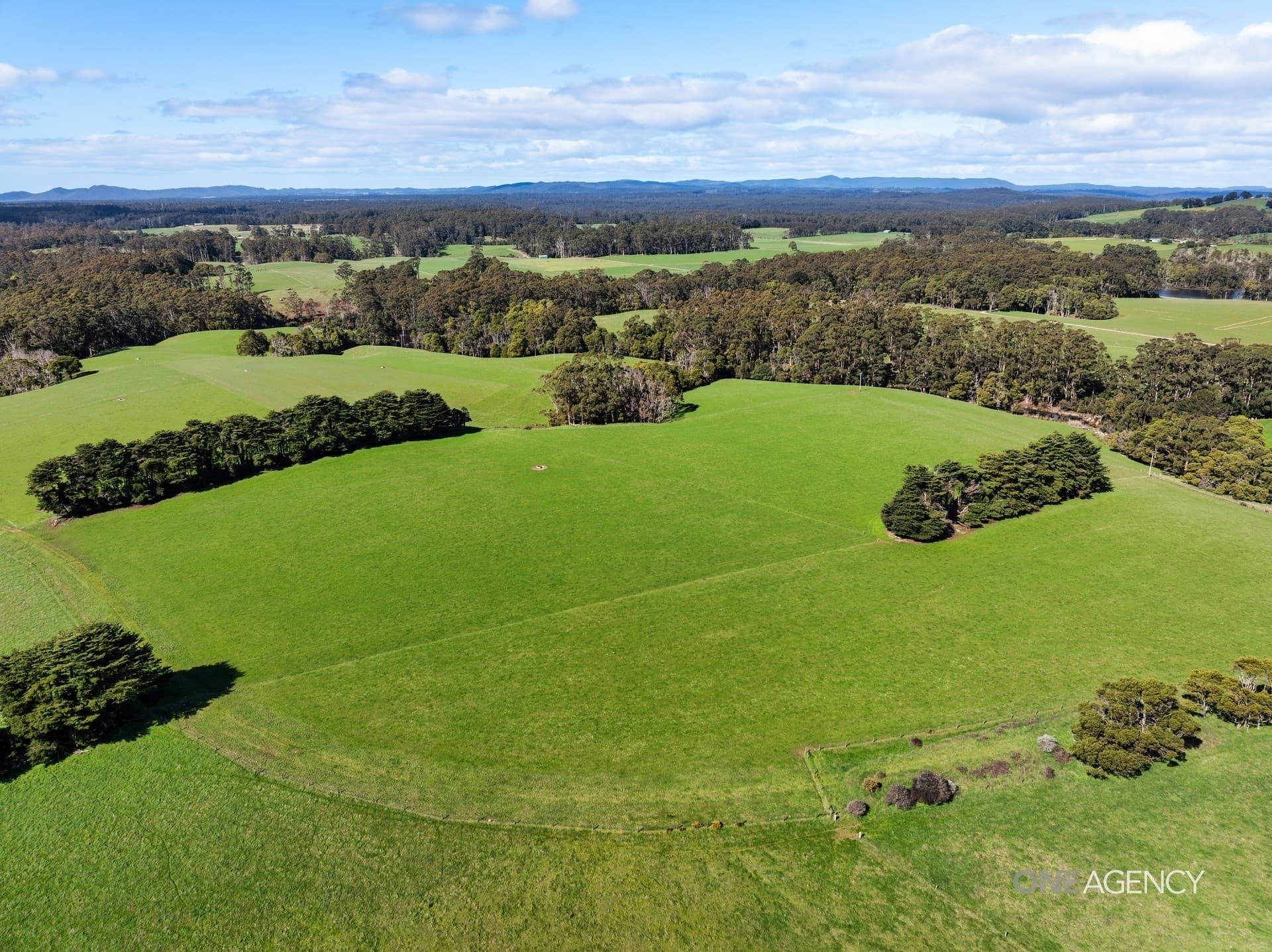 206 Murrays Lane, South Forest, South Forest - Thumbnail 5