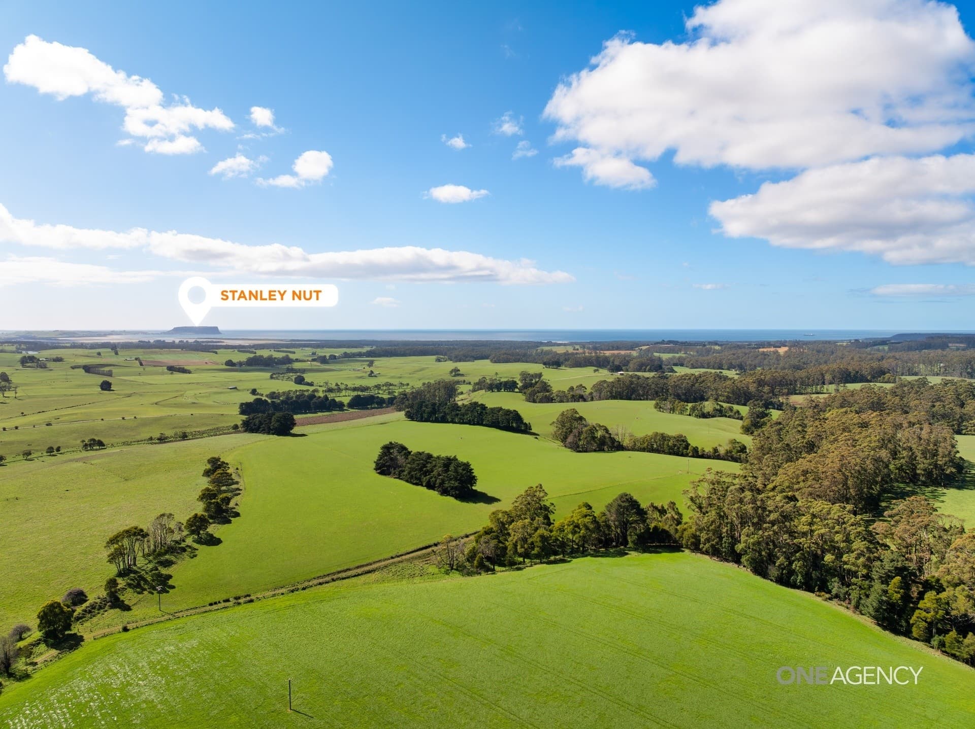 206 Murrays Lane, South Forest, South Forest - Thumbnail 6