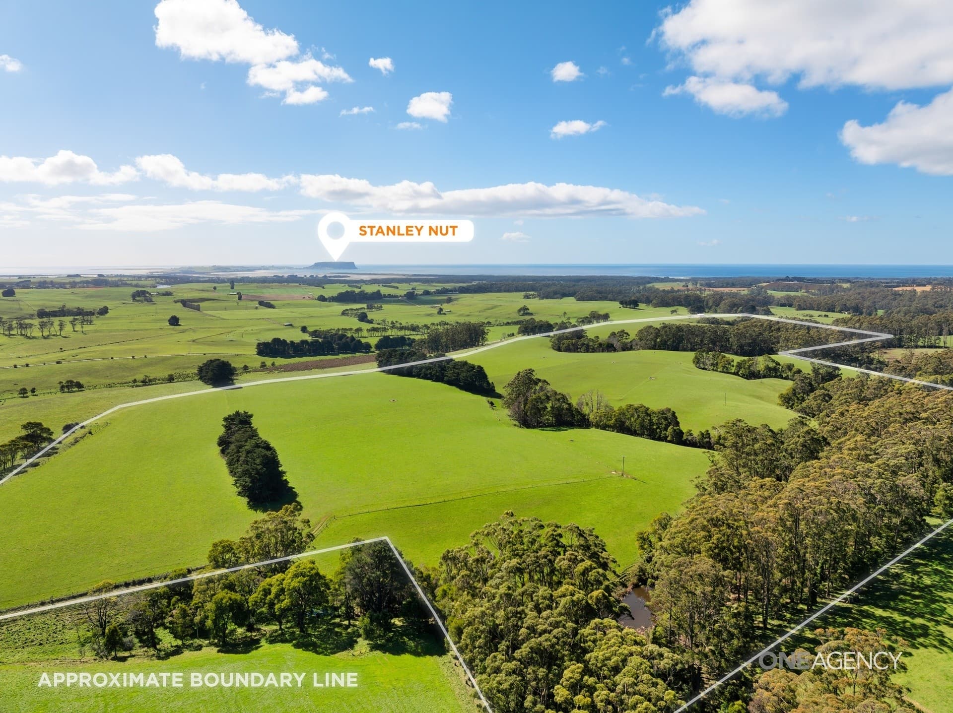 206 Murrays Lane, South Forest, South Forest - Thumbnail 7