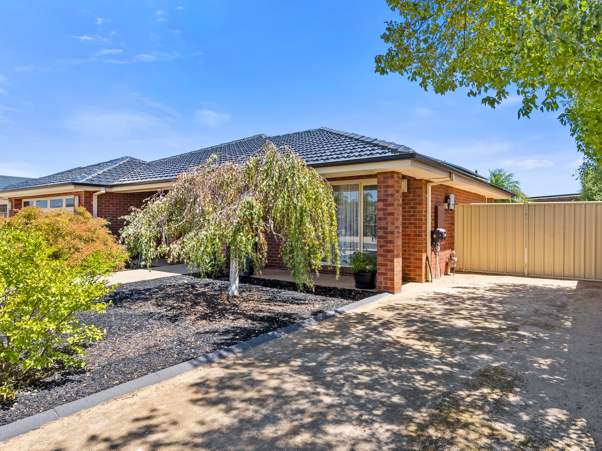 20 Gattuso Drive, Cobram, Cobram - Thumbnail 4