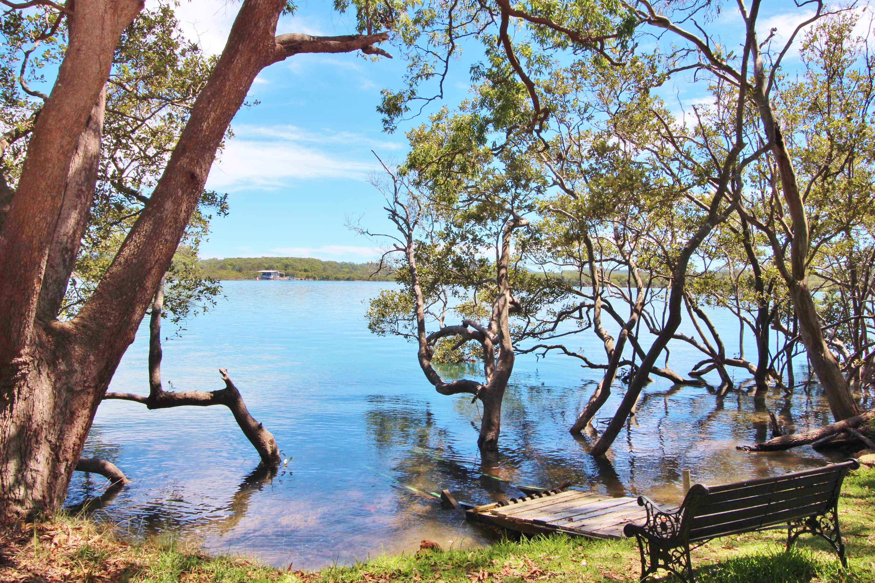 21 The Boulevarde, Dunbogan, Dunbogan - Thumbnail 6