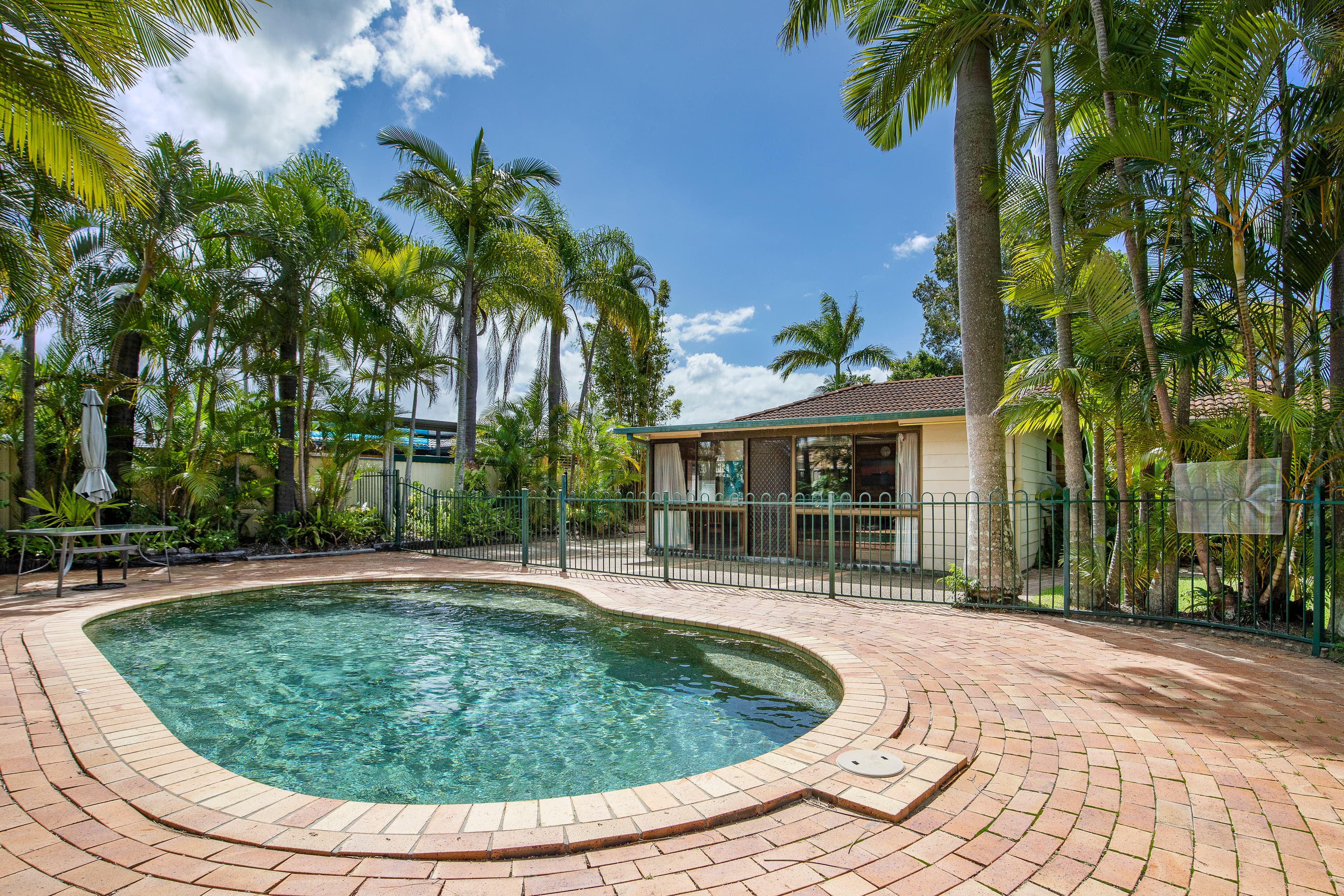12 Seriema Street, Burleigh Waters, Burleigh Waters - Thumbnail 3