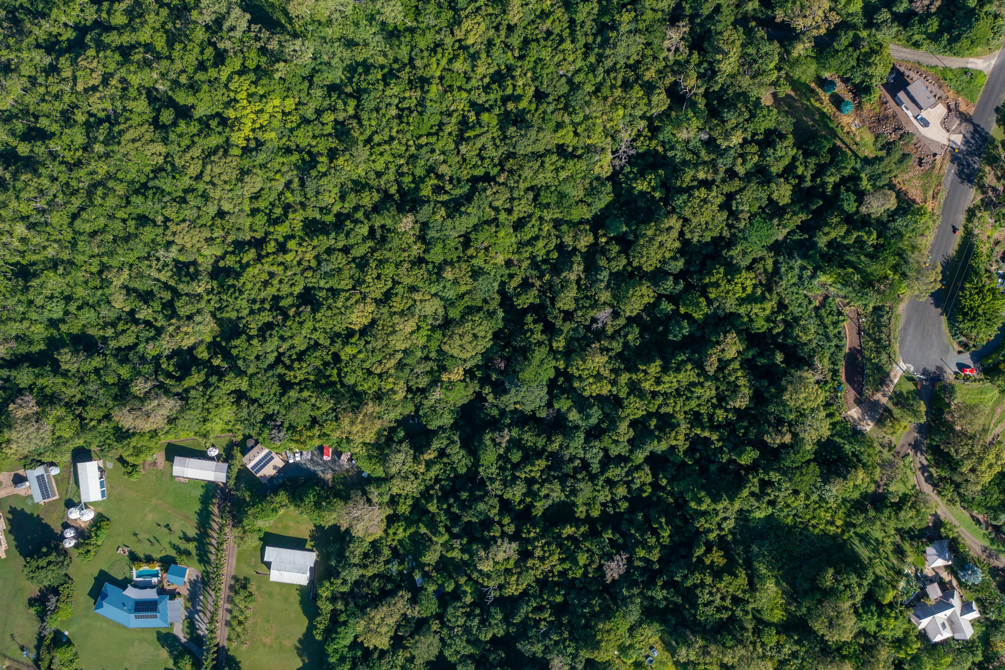 134 Parkland Drive, Woodwark, Woodwark - Thumbnail 7